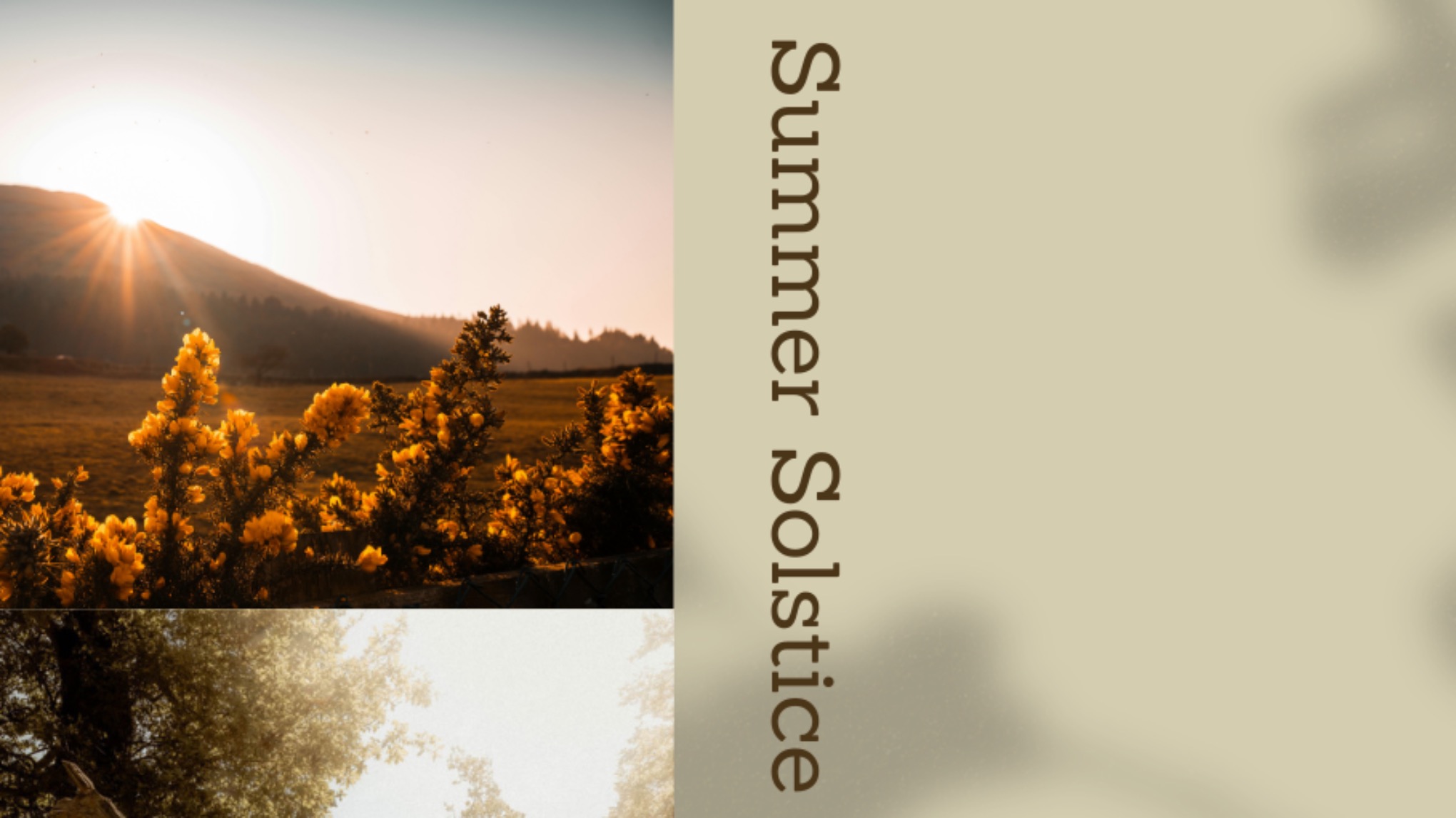 Summer Solstice Cebration