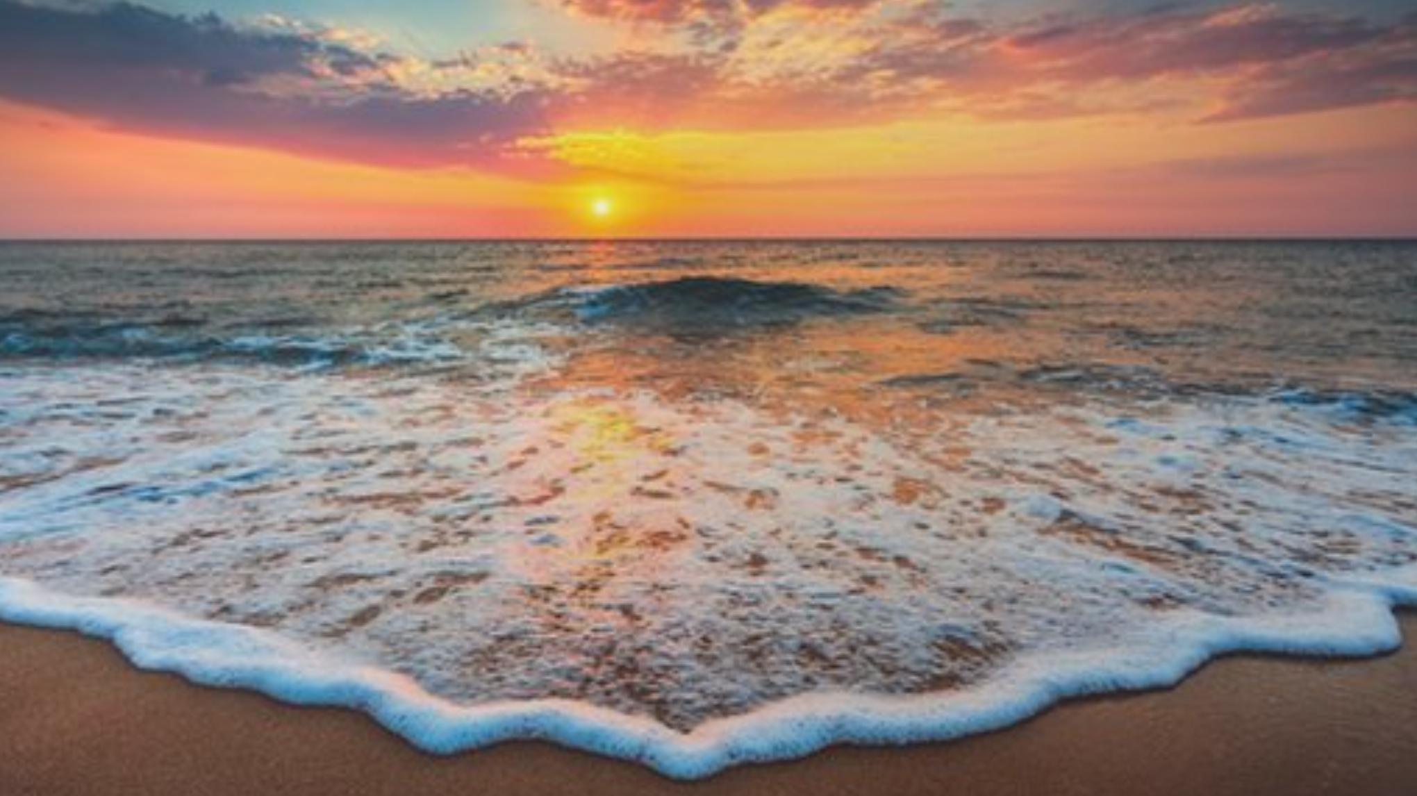 Cancelled: Morning Wellbeing Retreat by The Sea