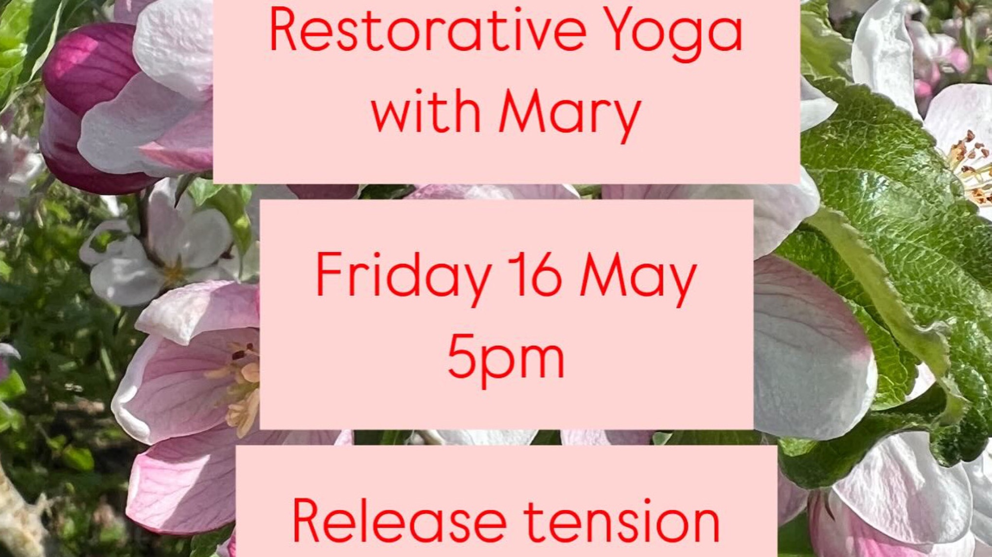 Friday Restorative Relax Yoga