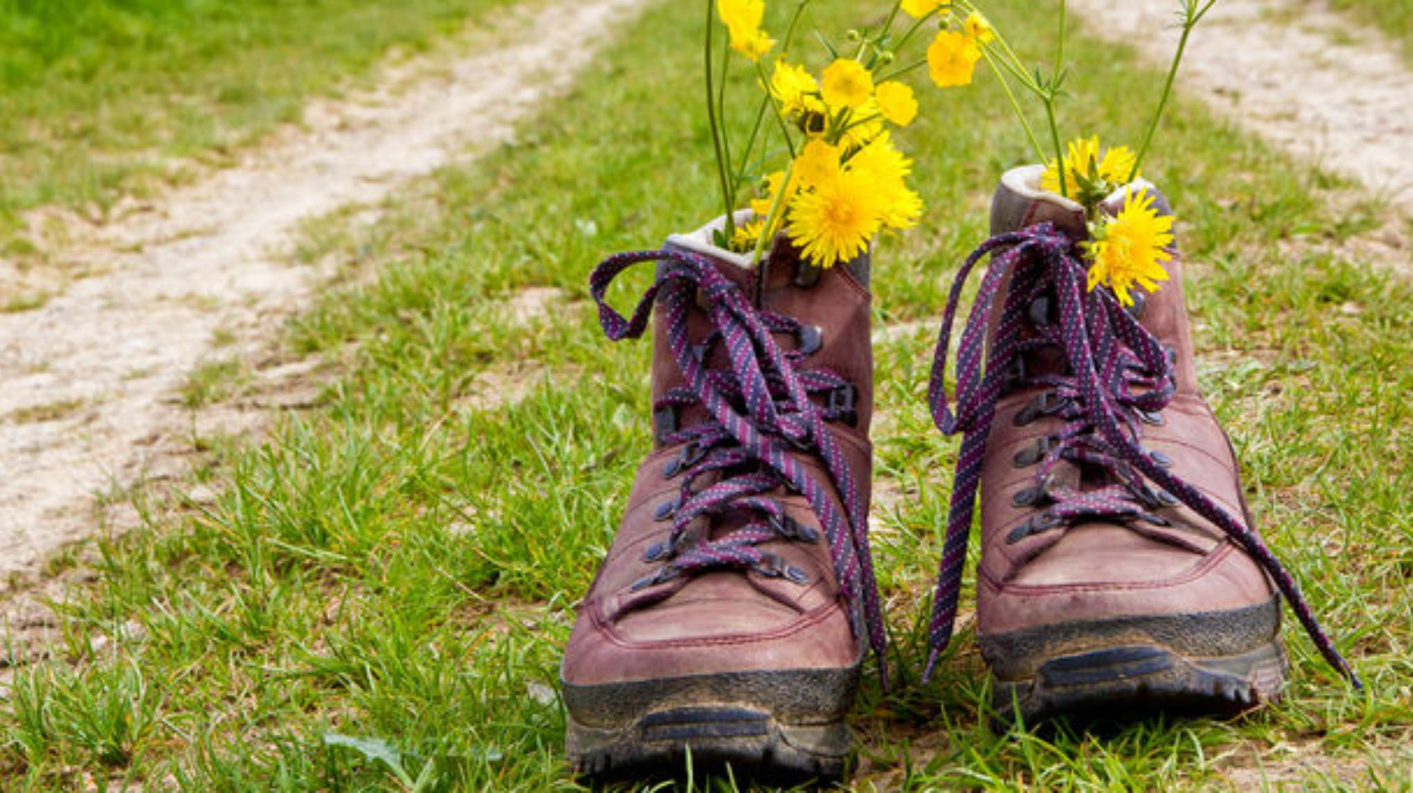 Hemelvaartswandeling