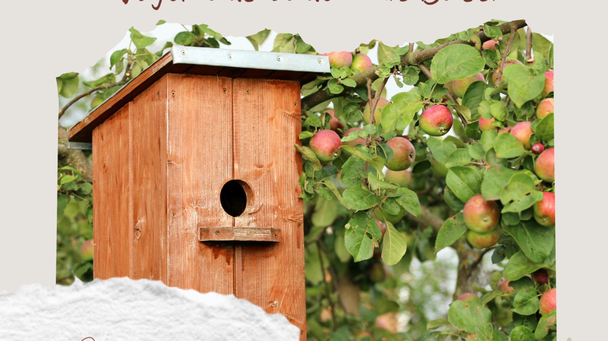 Holzworkshop: Wir bauen ein Vogelhaus!