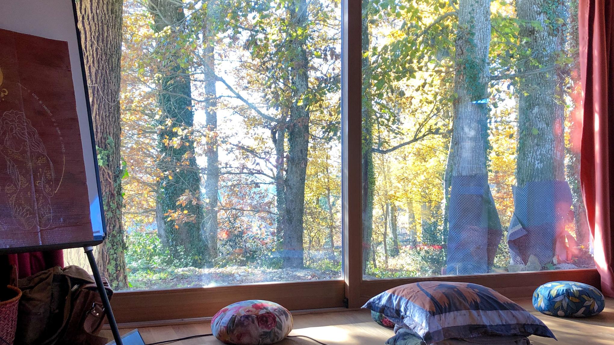 🧘🍂 Journée "Ralentir" au cœur de l'automne