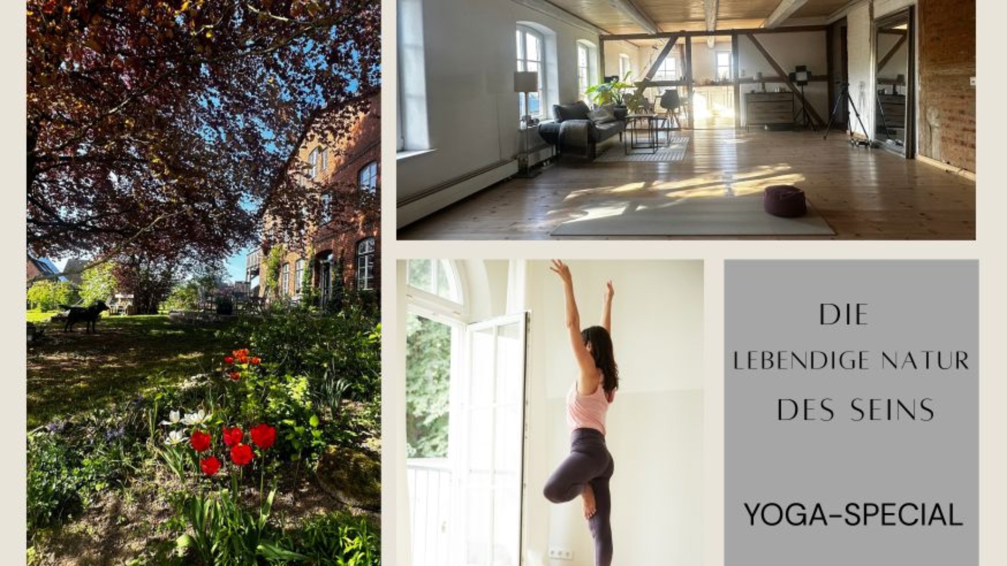 Yoga-Special: Die lebendige Natur des Seins