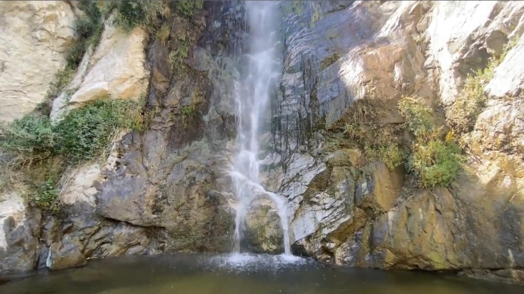 Hike 730am start/7am carpool: Fall Creek Trail Waterfall, Meditate & Brunch