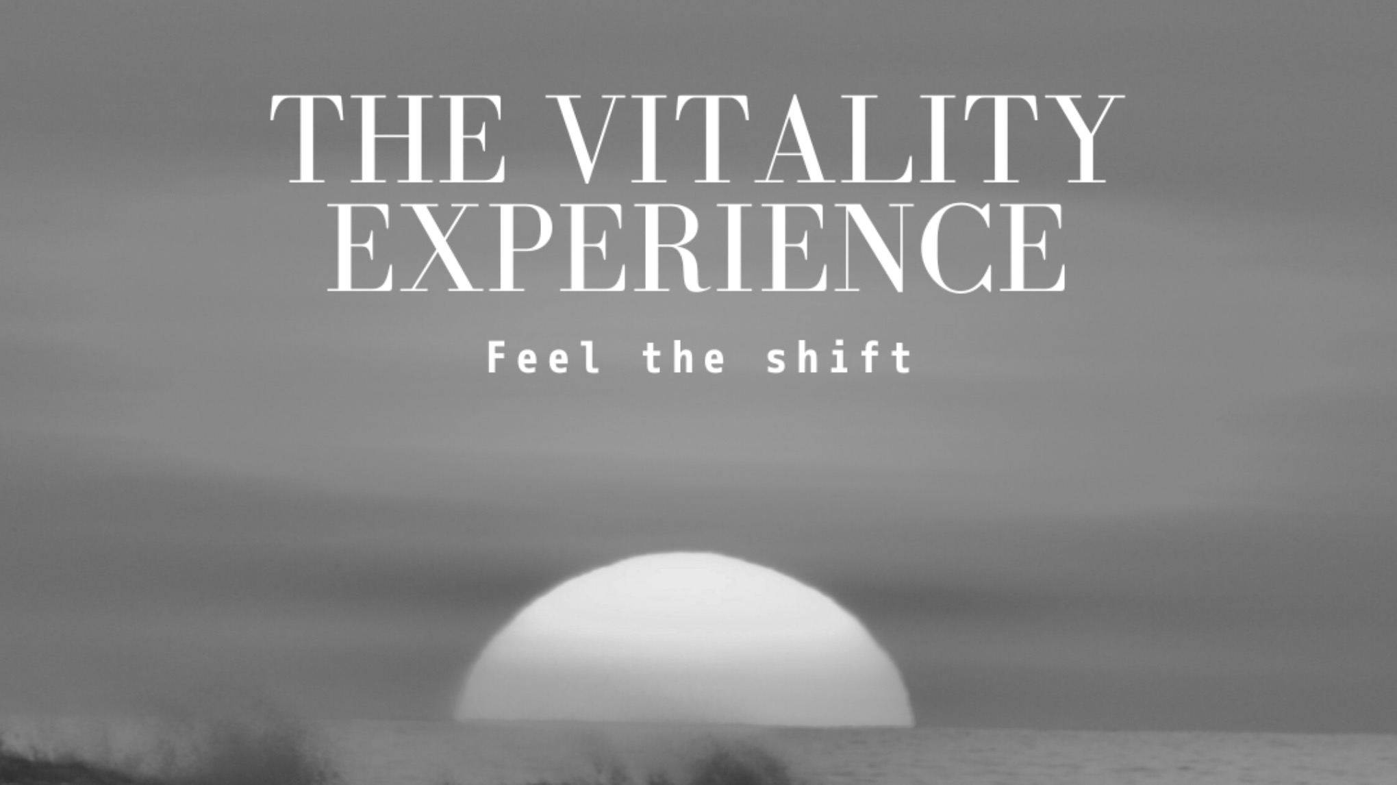 The Vitality Experience