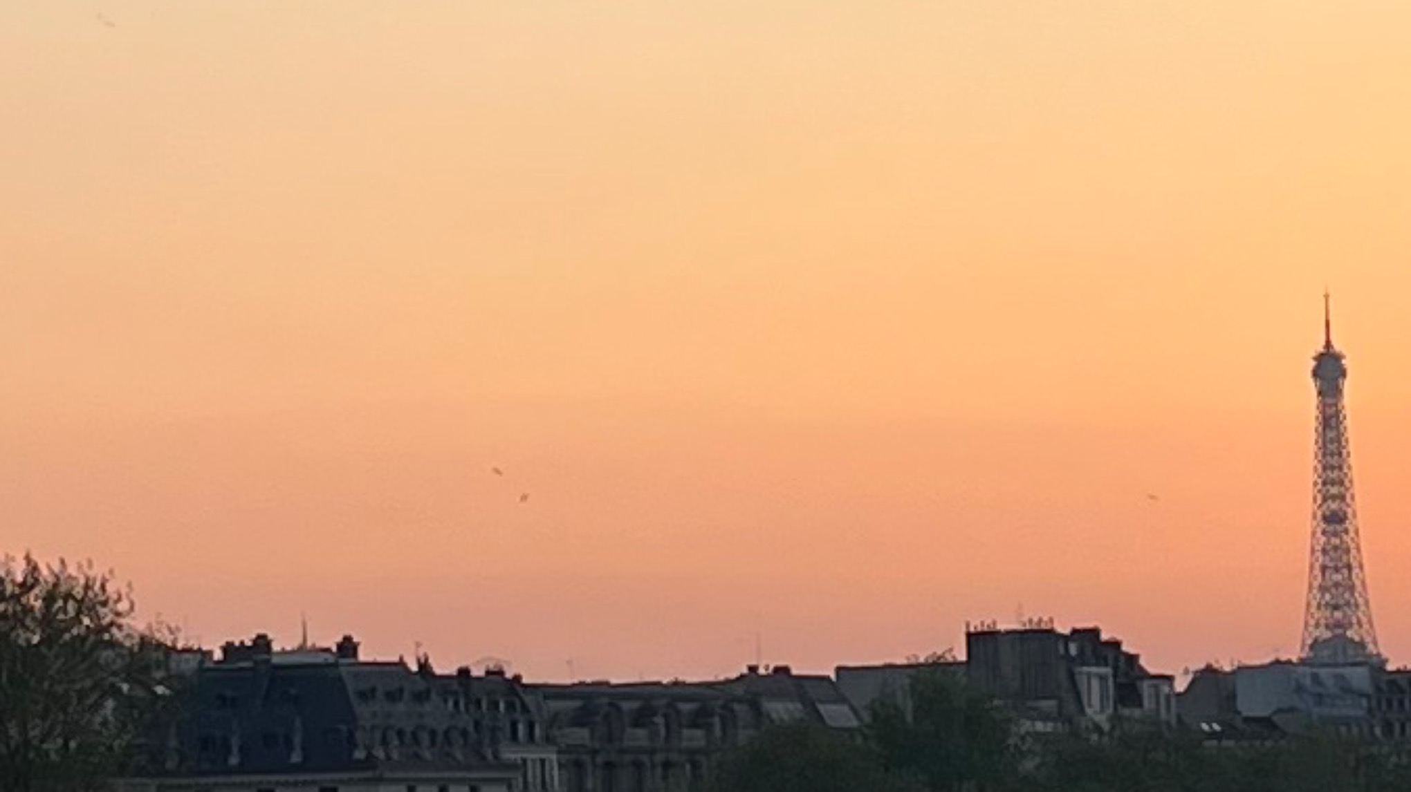 Summer Solstice Friday Restorative Relax Yoga