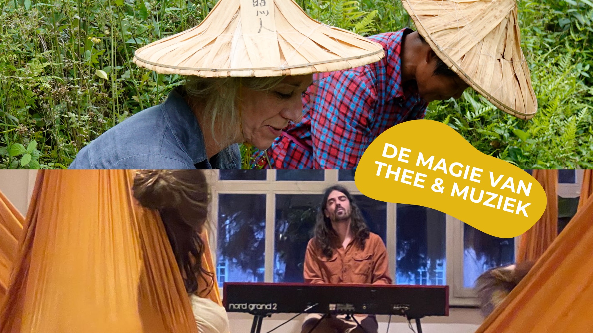 Theeproeverij met live piano