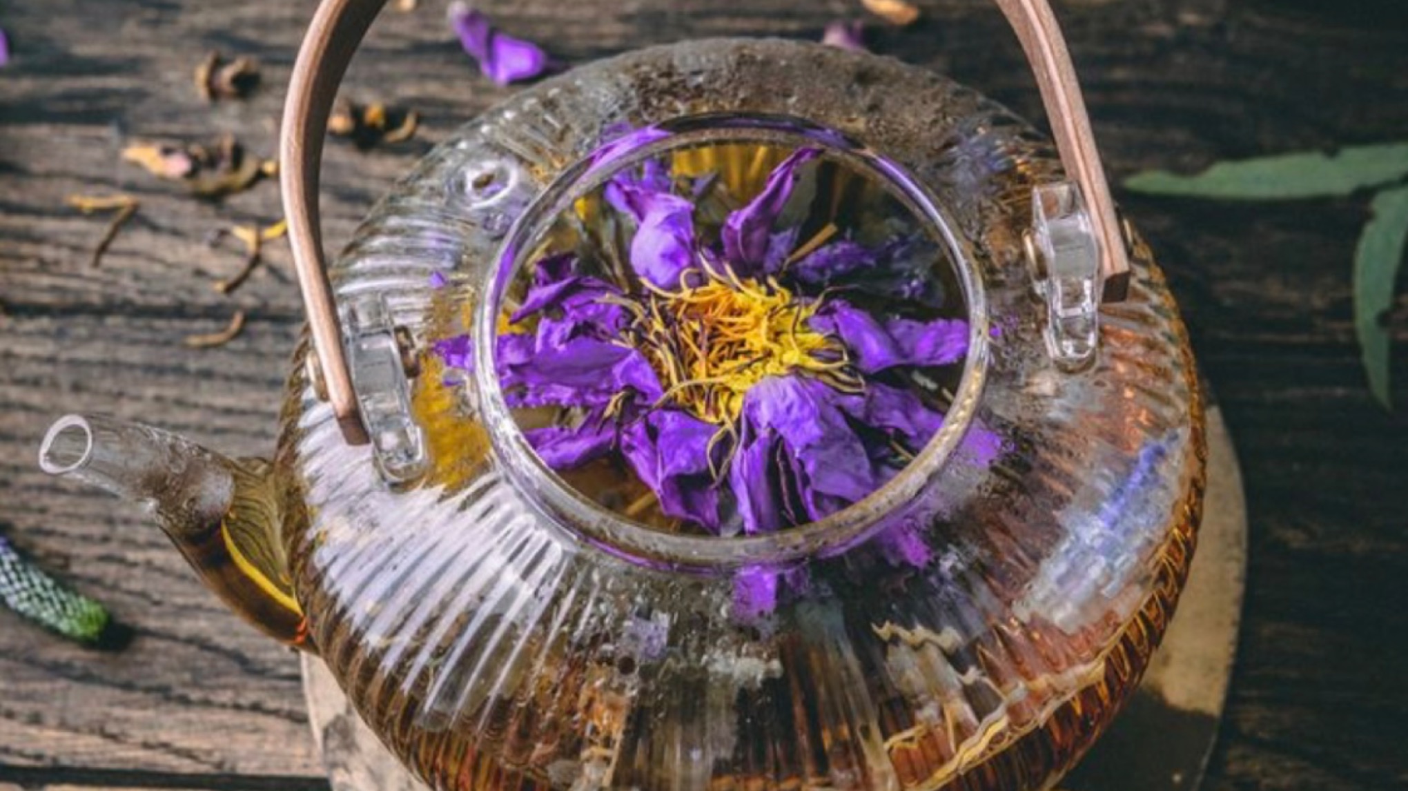 Blauwe Lotus Thee Ceremonie & Aerial Yoga  Nidra