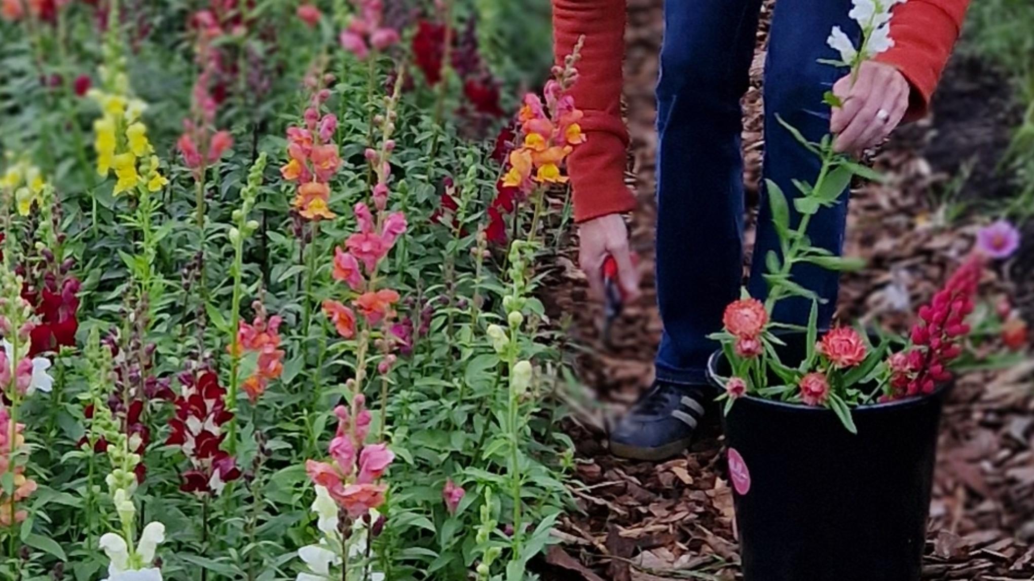 Fusie van yoga en qi gong tussen bloemen rond vuurelement