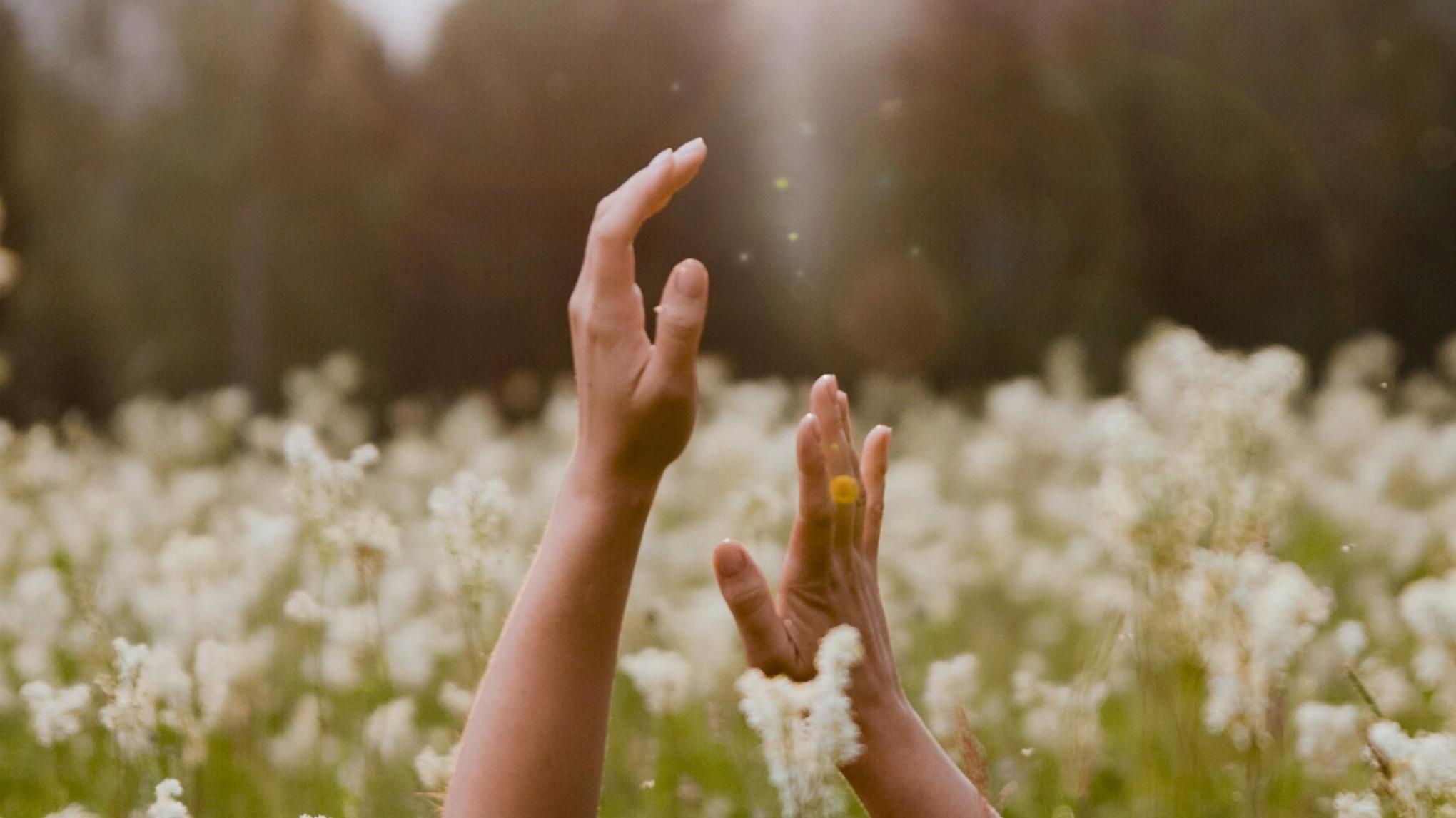 Sommer Retreat im Waldhaus