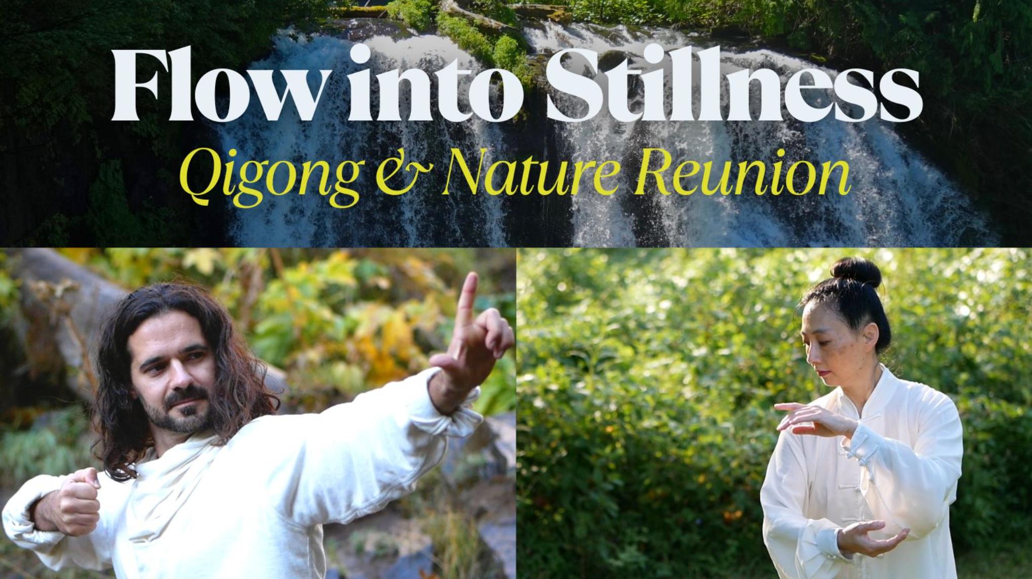 Flow into Stillness - Qigong & Nature Reunion
