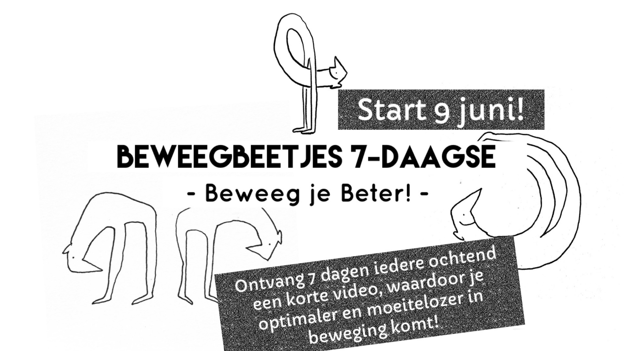* Beweegbeetjes 7-daagse: Beweeg je Beter! *