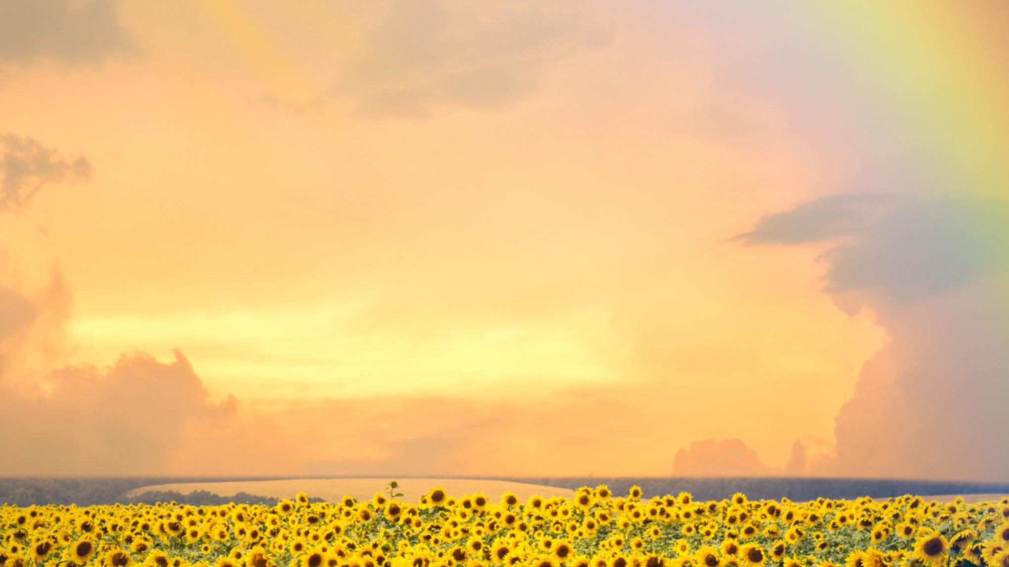 January 2026 Gratitude Challenge