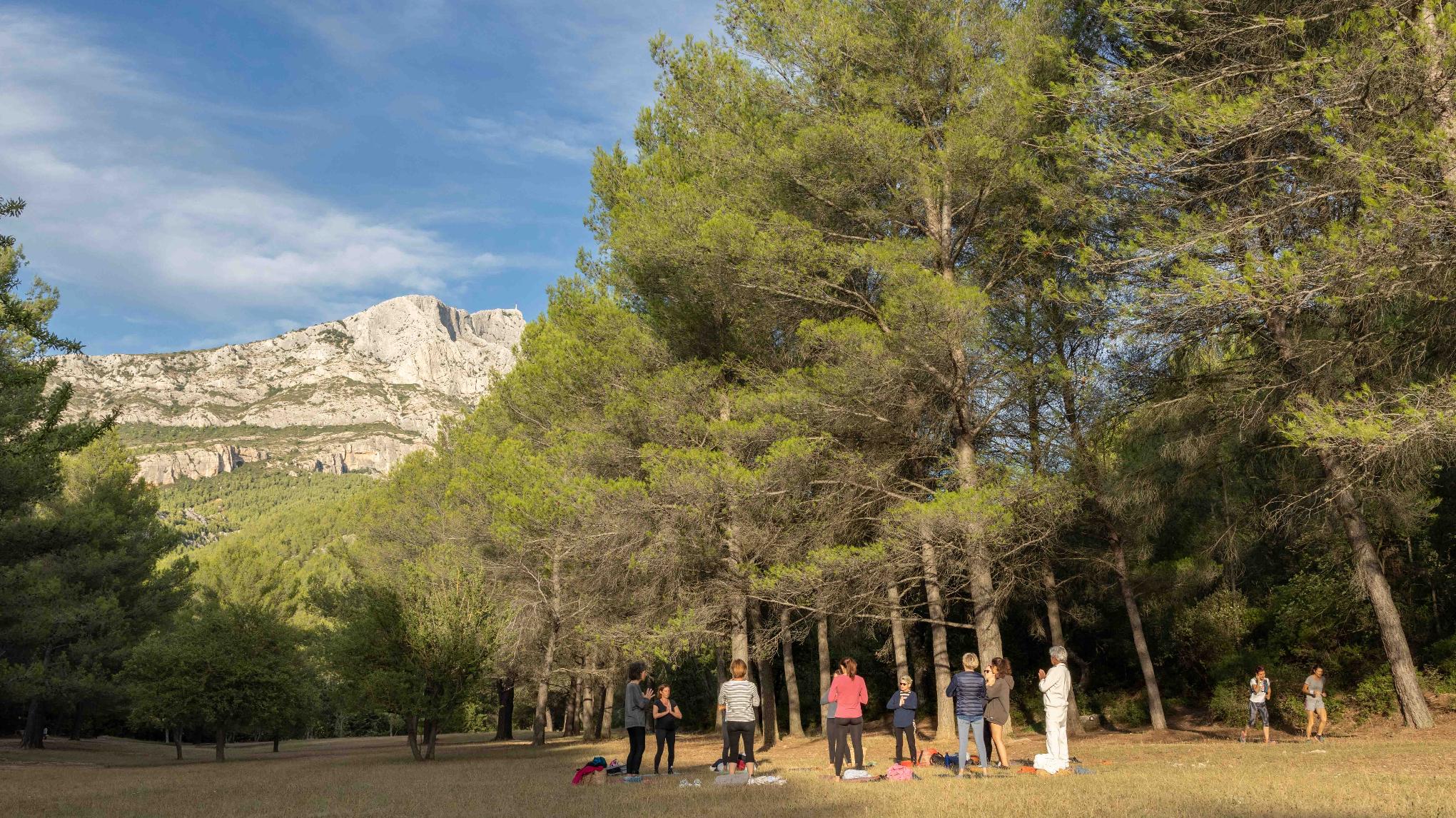 Cours gratuit et pique-nique de fin d'année