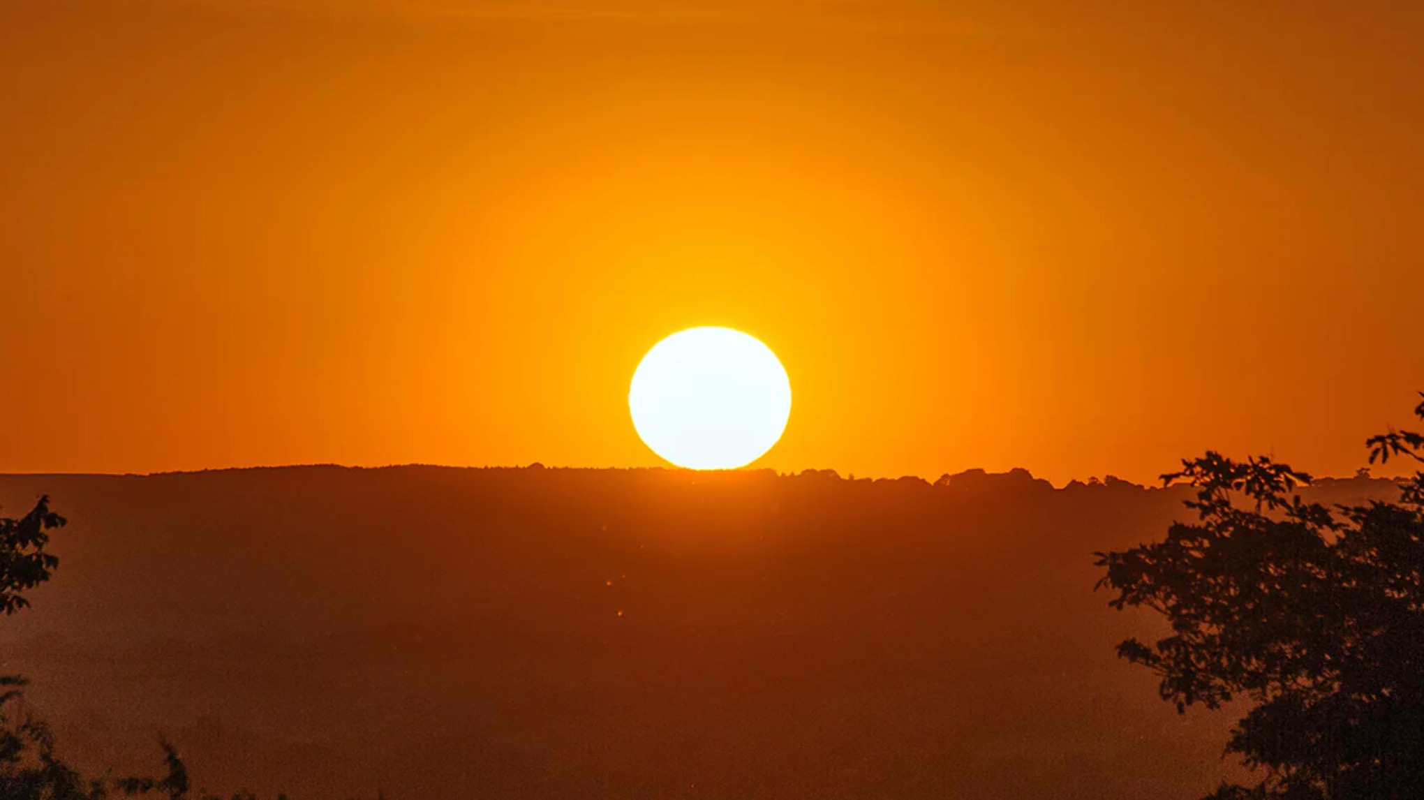World Yoga Day: Sunrise Sun Salutations in Danson Park (Free Session)