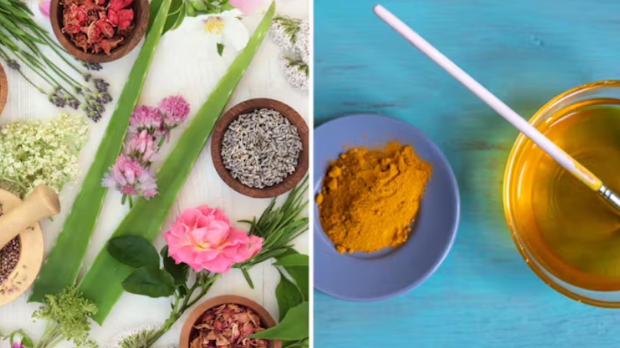 Yoga Nature Kids _ Peintures végétales