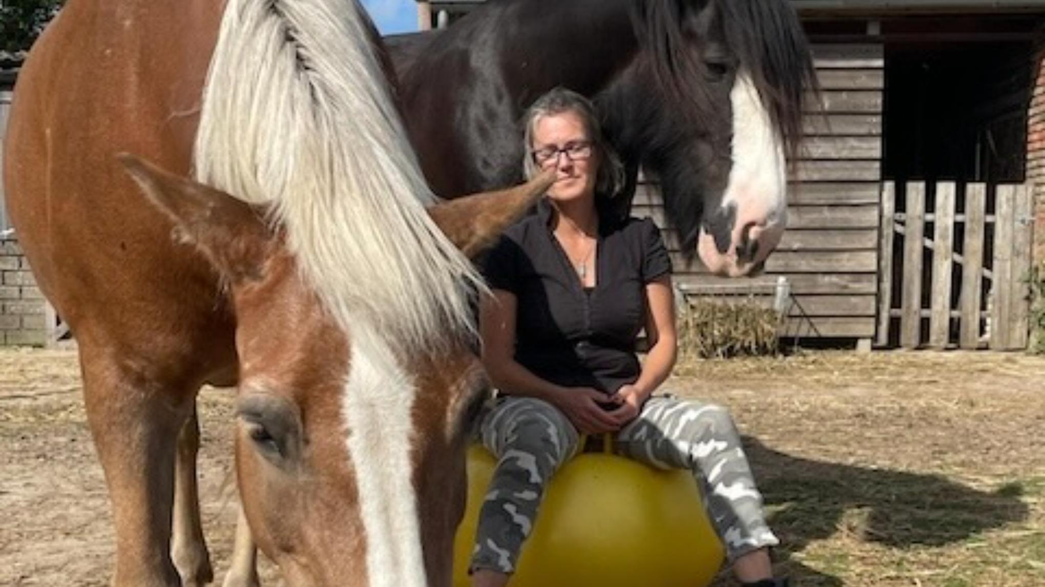 Geleide meditatie tussen de paarden