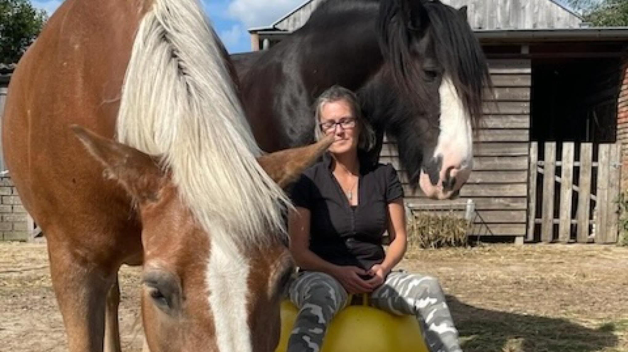 Geleide meditatie tussen de paarden