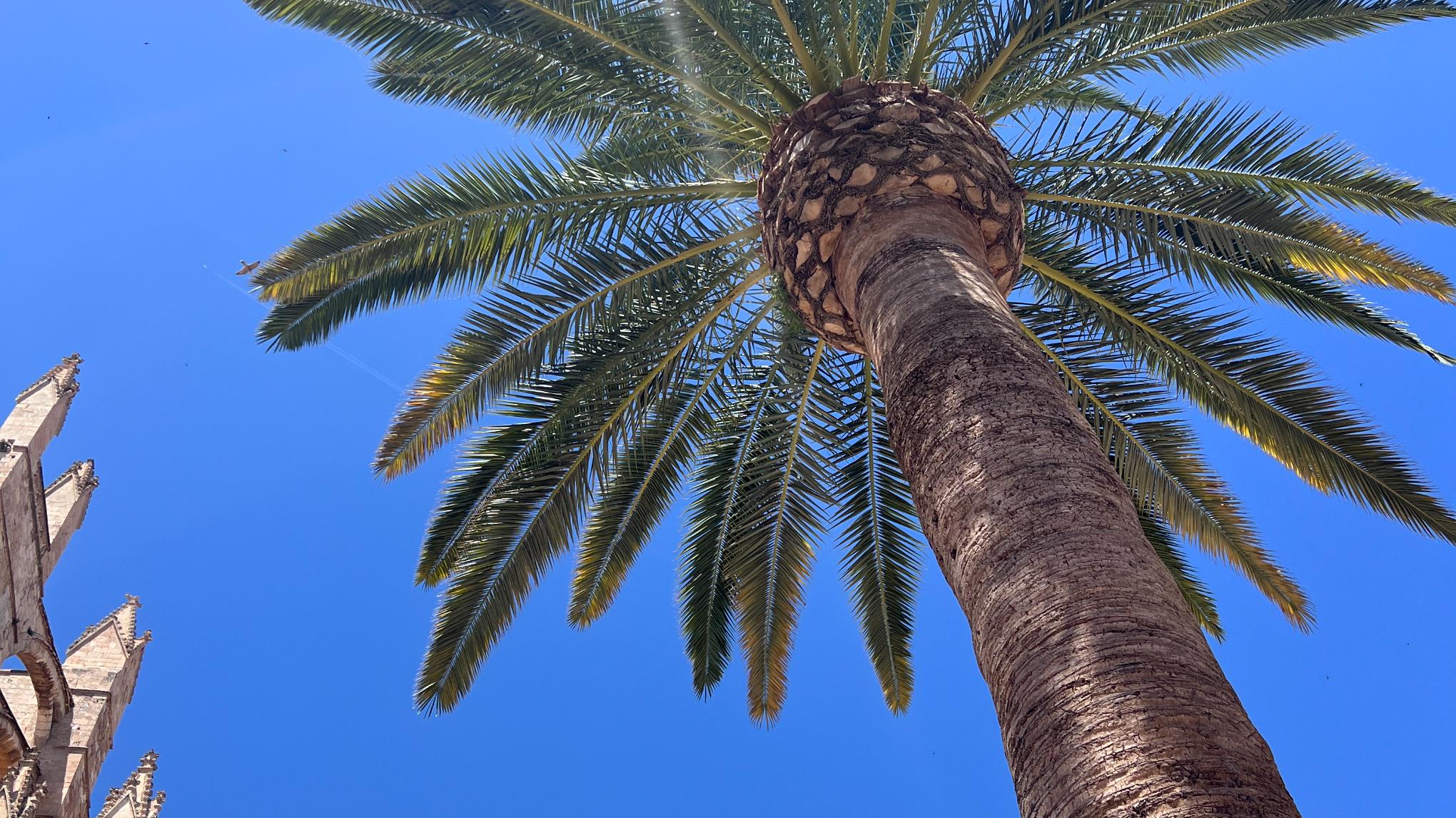 Summer Solstice - Yoga, live music & Soul Food