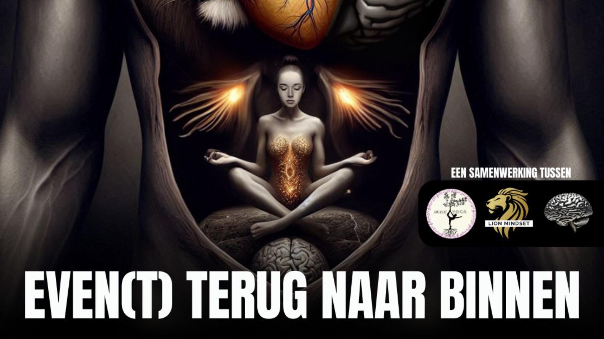 Yoga International Day 21 juni 13.00-17.00