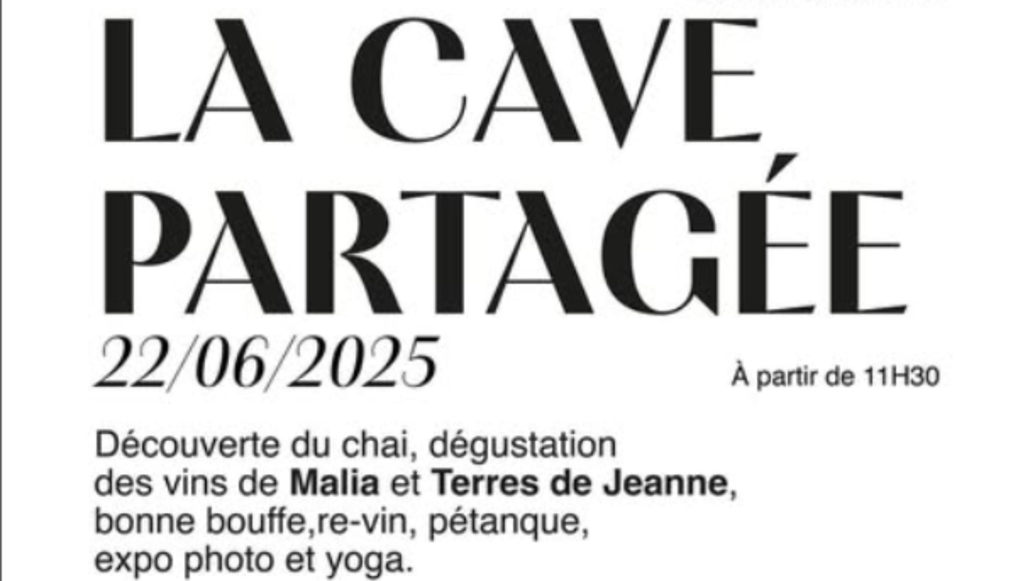 Yoga dans les vignes 🍇 // La cave partagée