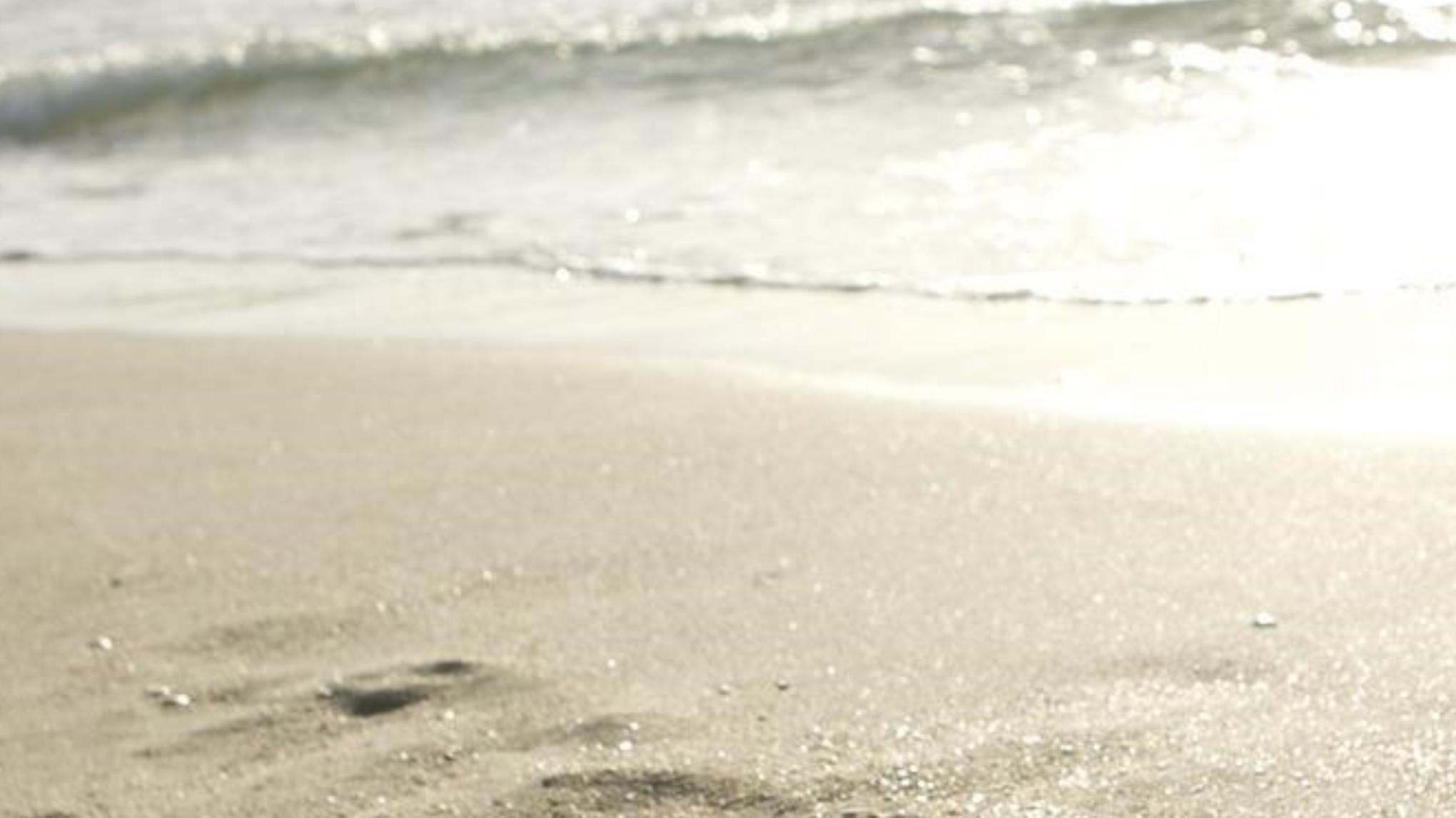 Pas de cours du 7 au 14 juillet - reprise le 15 avec Florence