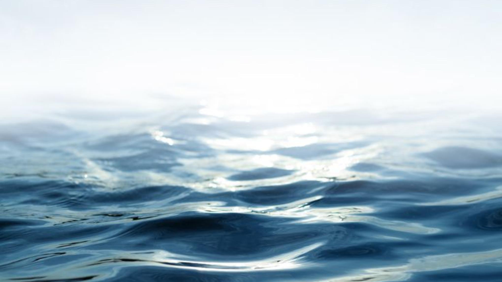 WELLI_chéri X SURFRIDER en fête !! 🌊  // free yoga session