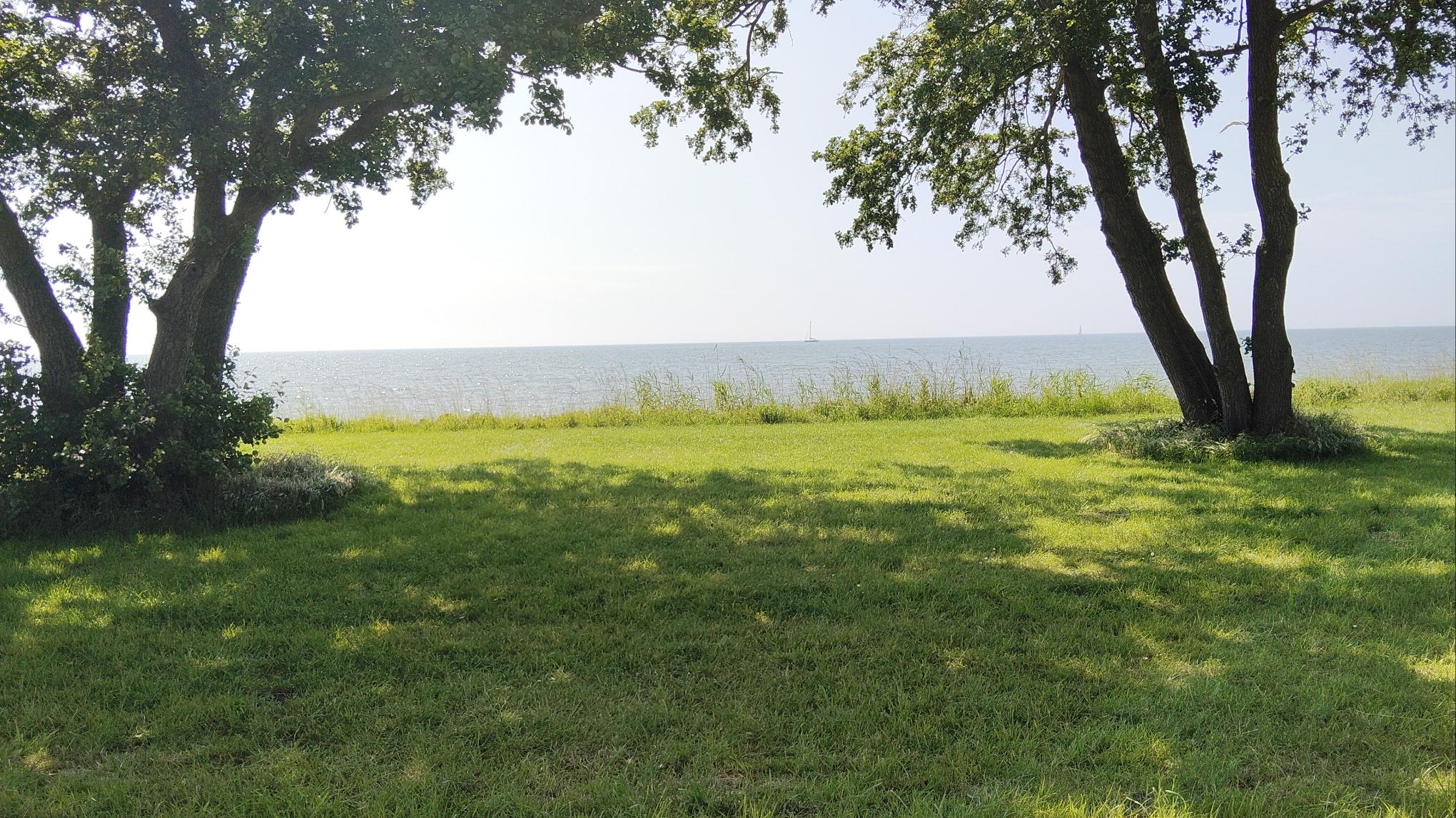 Internationale yogadag!