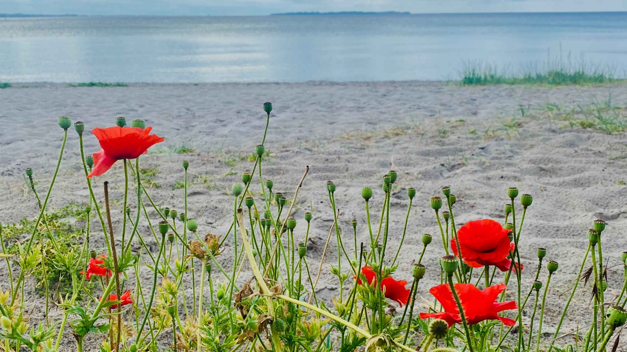 Gå din sommer i møde med ro og i balance