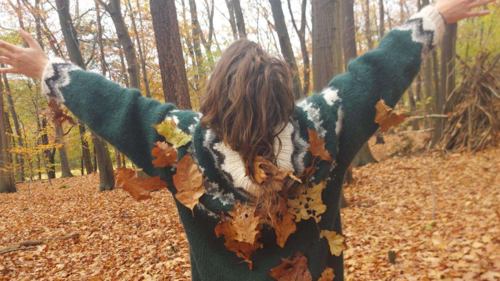 🍁 Release 🍁