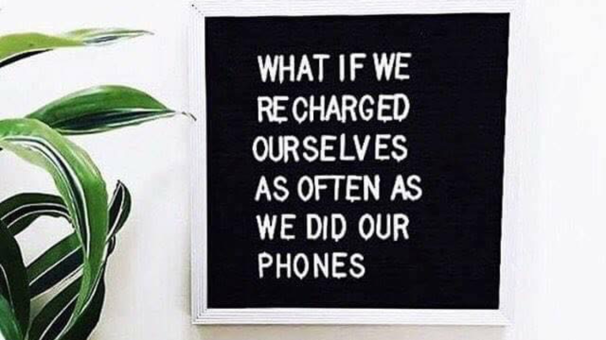 Volgeboekt ✨ One Day Retreat bij Finca Vrij – Zomereditie