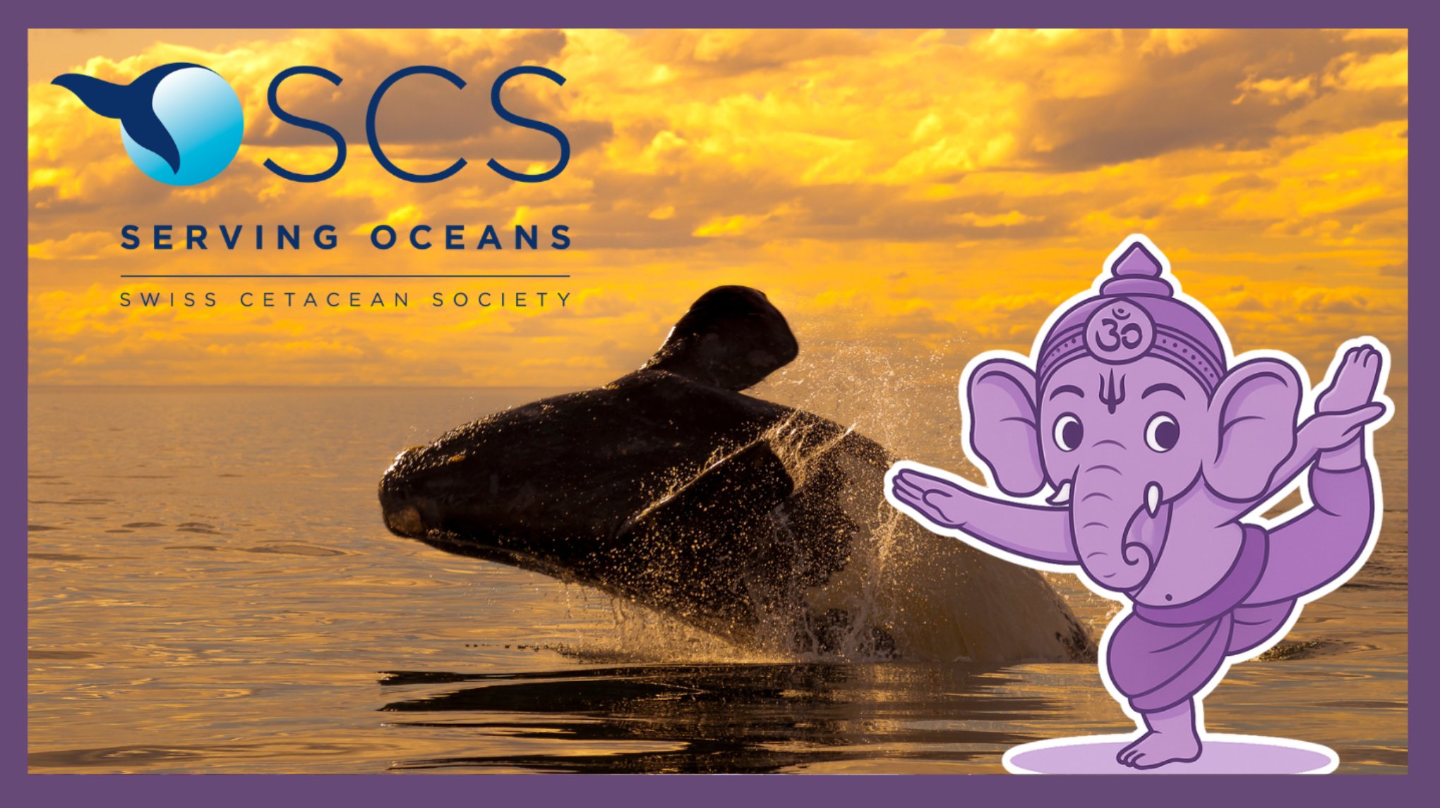 ☀️ Outdoor Sun Salutations in Blonay – Move for a Cause 🐬