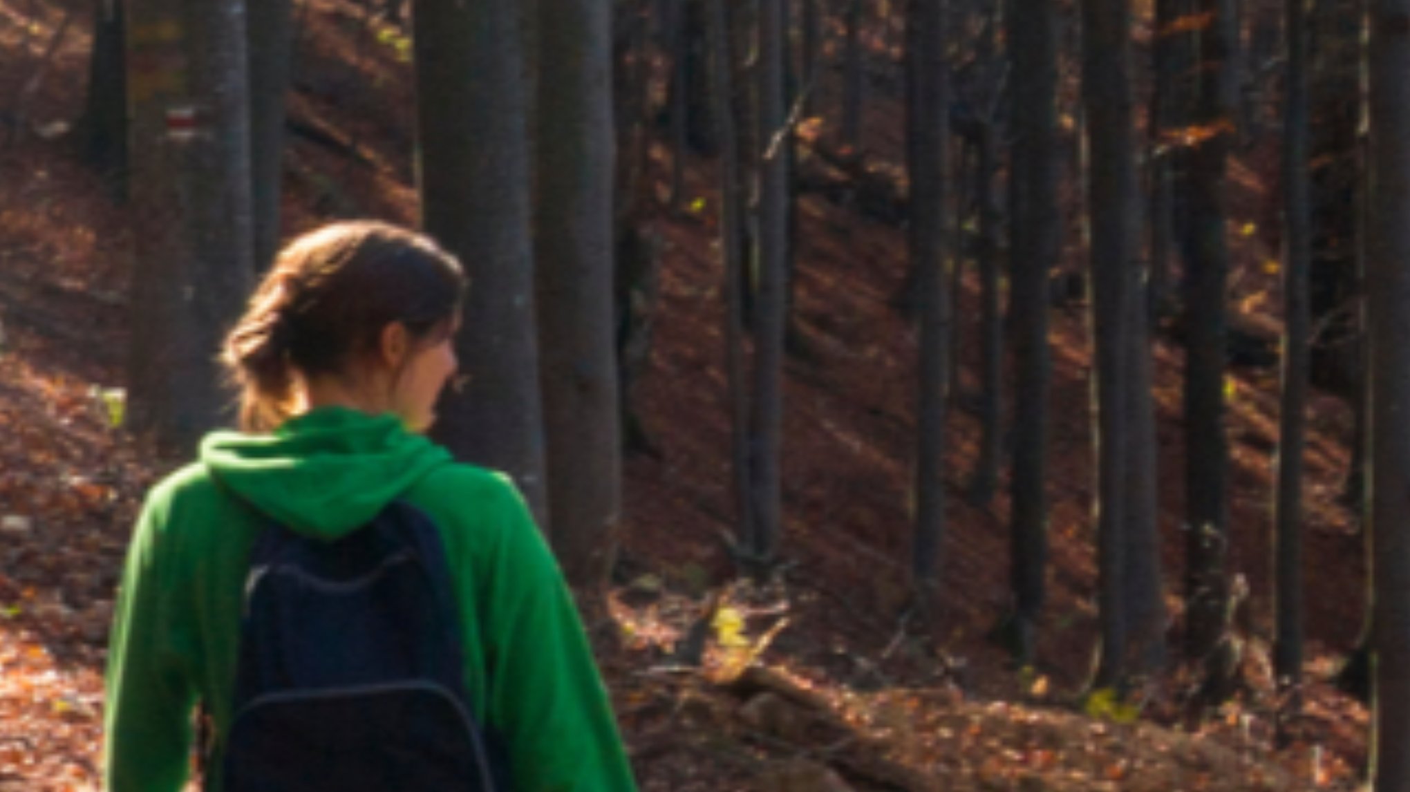 🚶‍♂️Stiltewandeling | startpunt Papaver