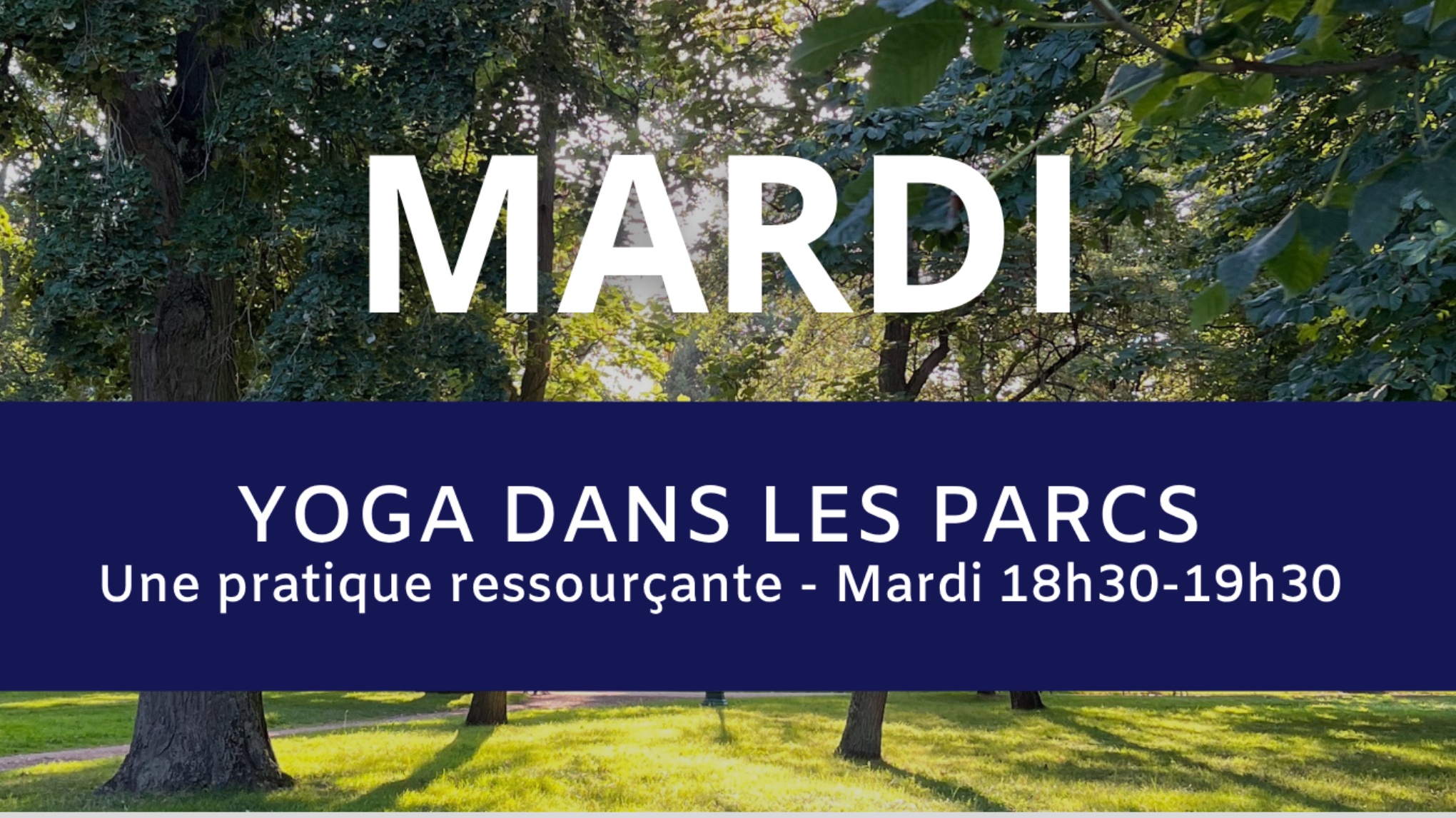 Yoga en plein air ☀️Mardi 18h30-19h30