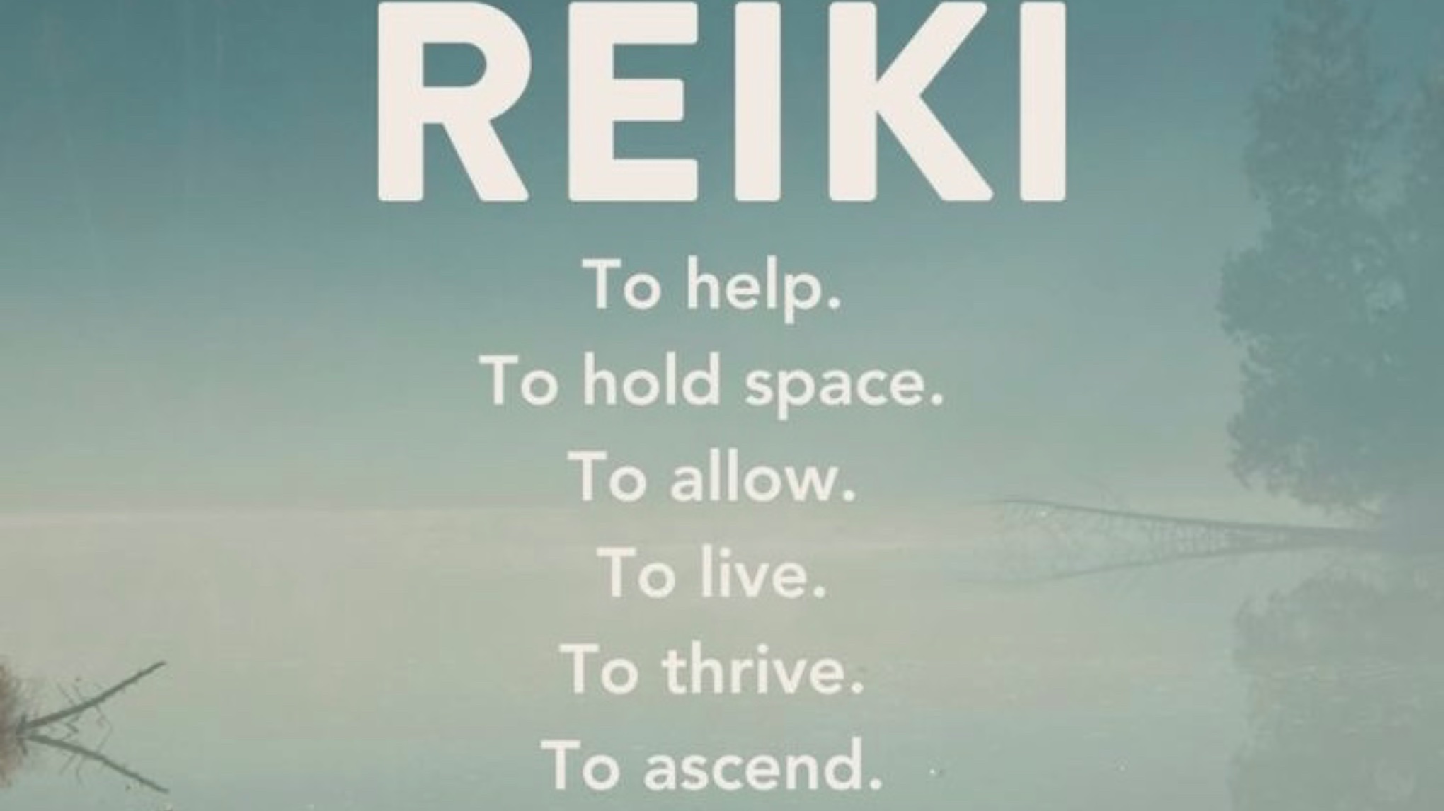Reiki Session - BOOKED- One spot available for this time