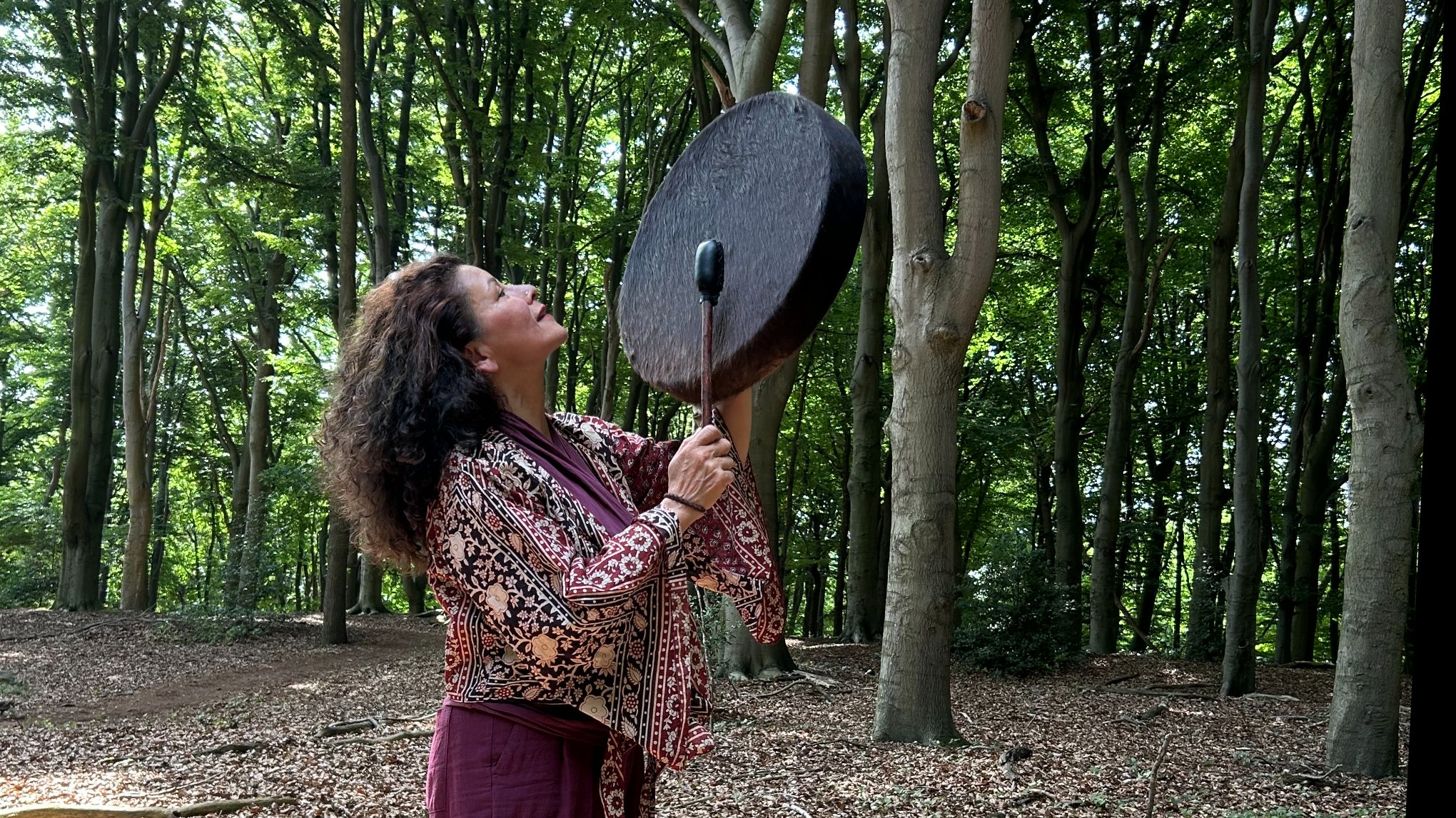 Workshop reis in het Sjamanistische medicijnwiel en trancehealing drum €150