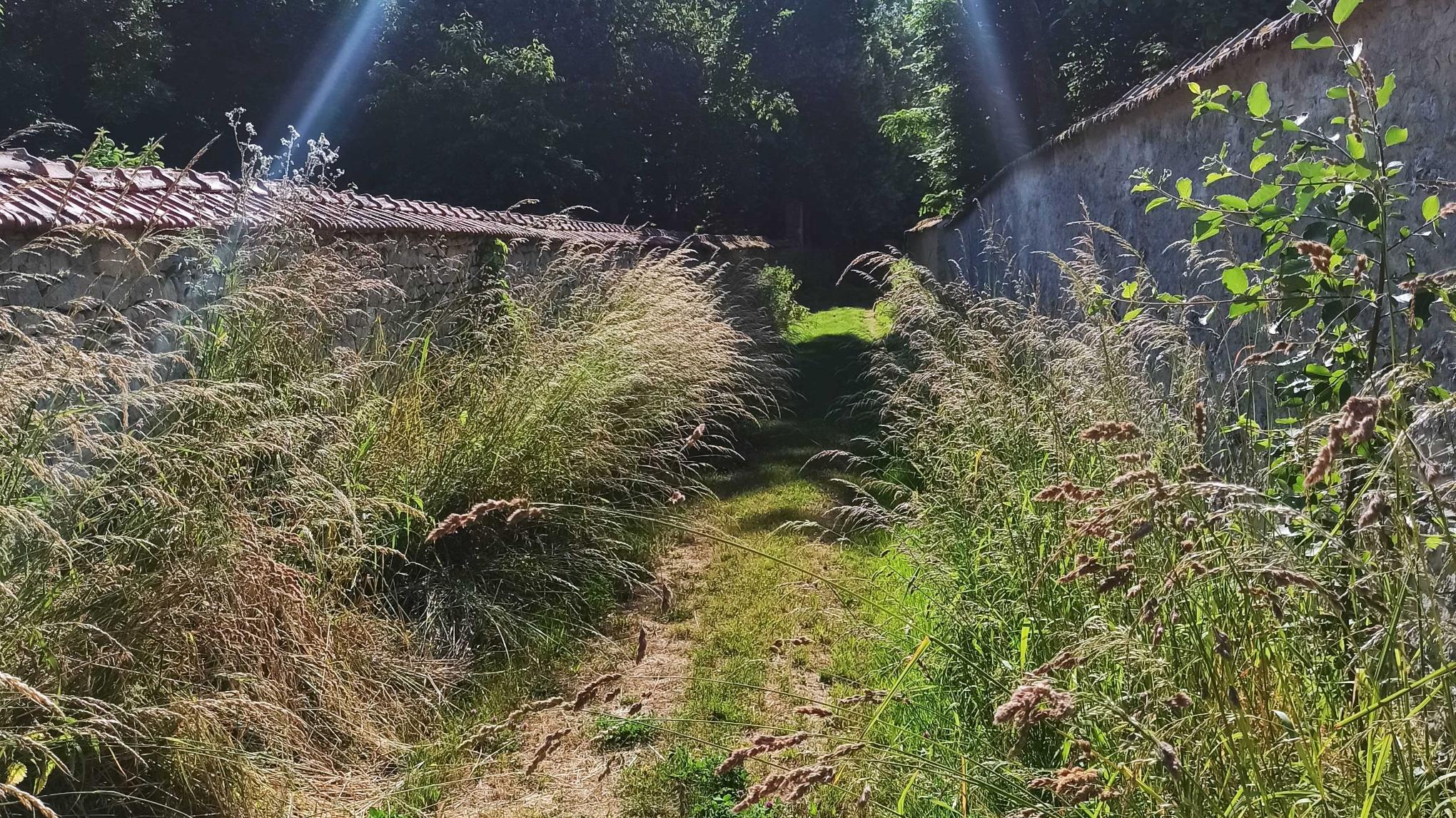 Randonnée Yoga - Trigny