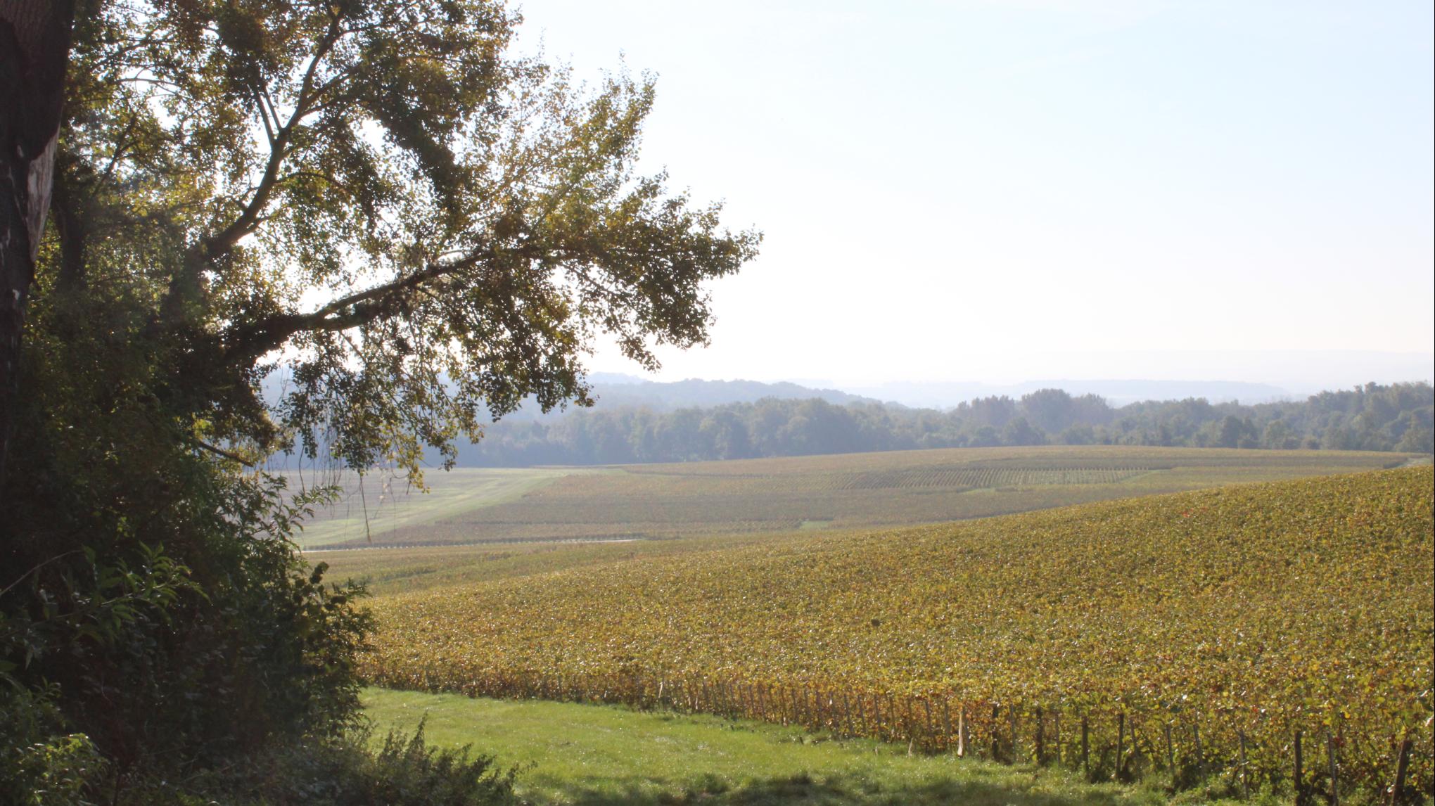 Randonnée Yoga - Trigny