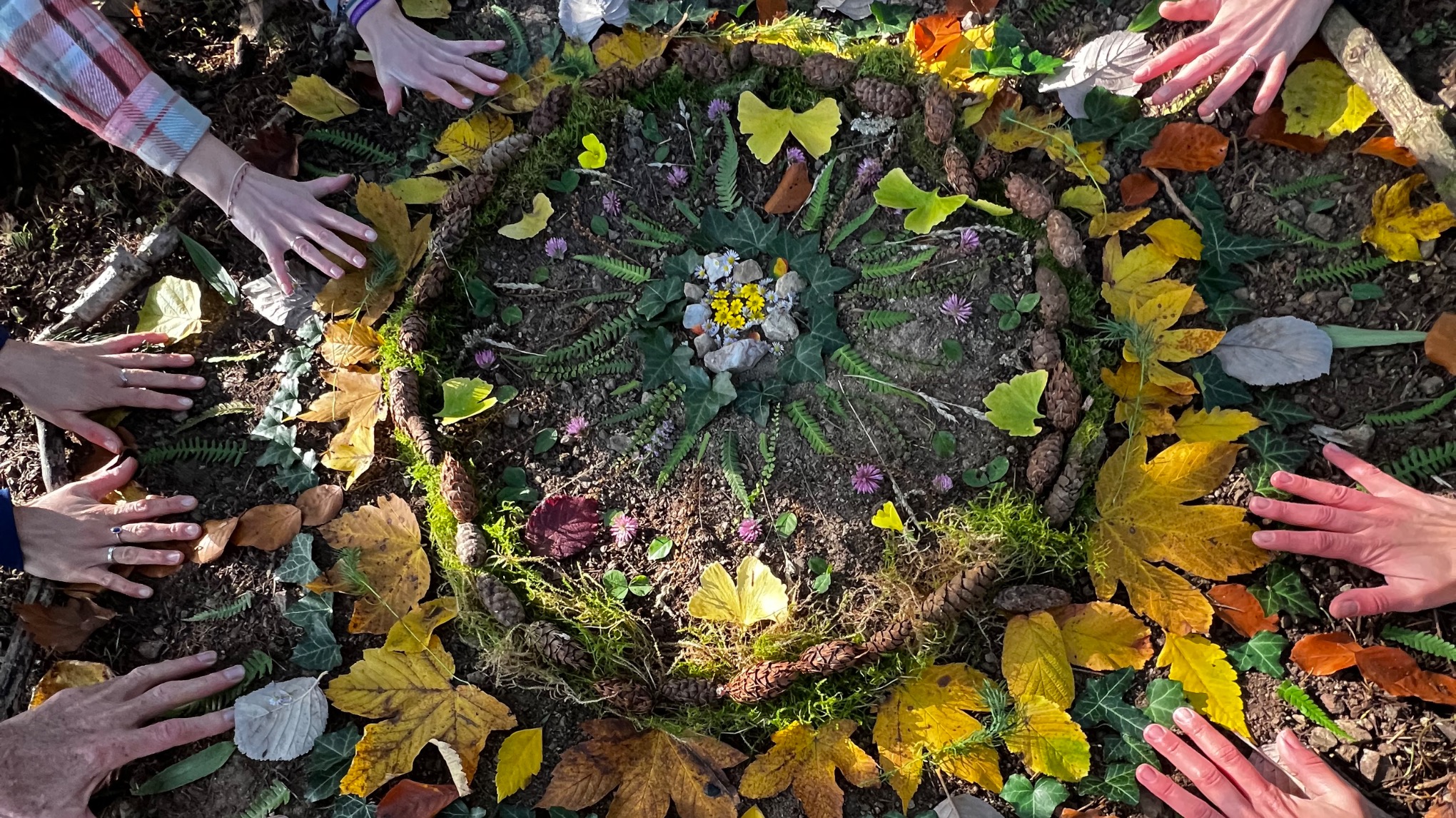 Retraite Cocoon d'Automne