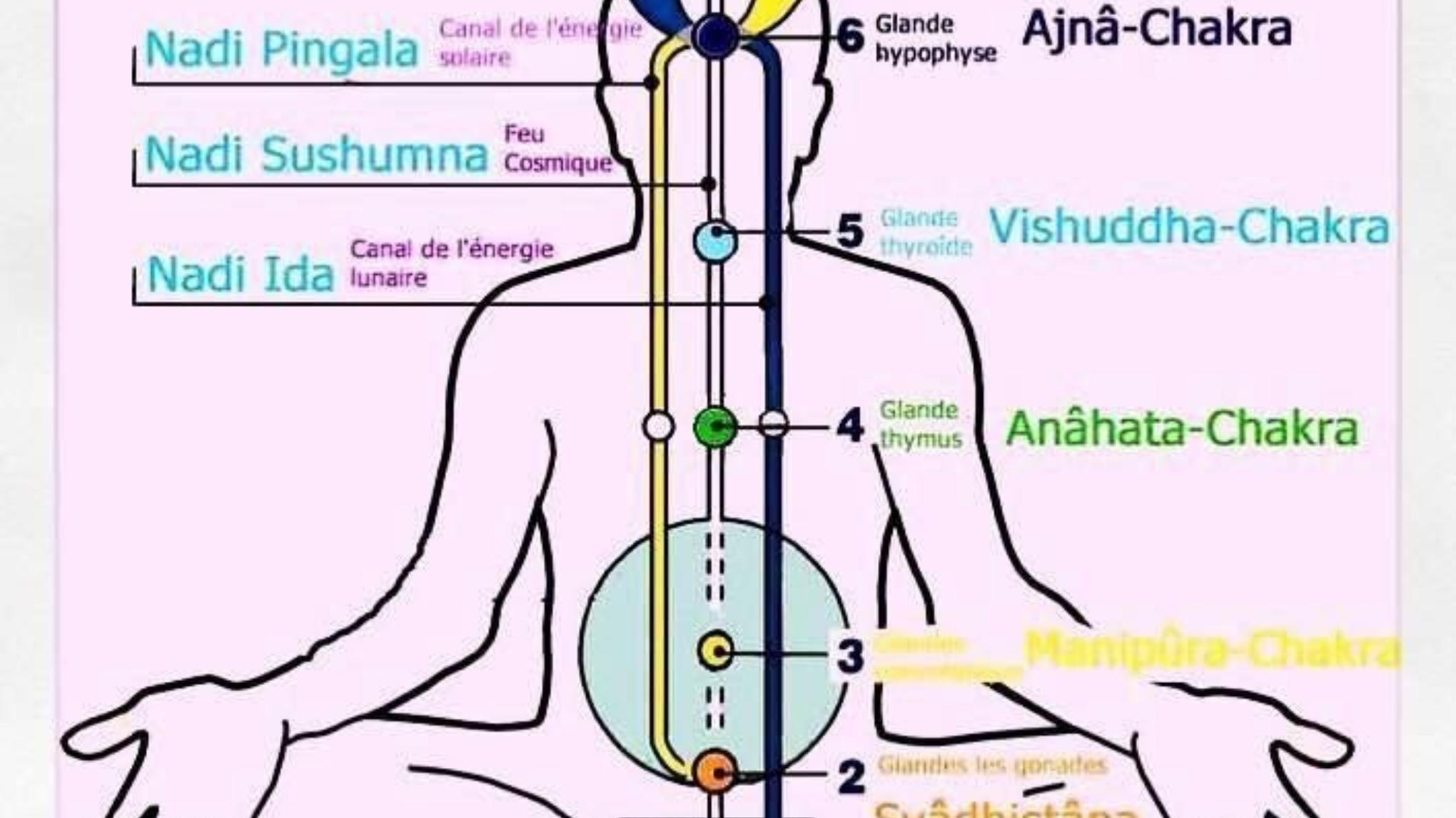 🏡 Pranayama - Méditation - Mantra 📿