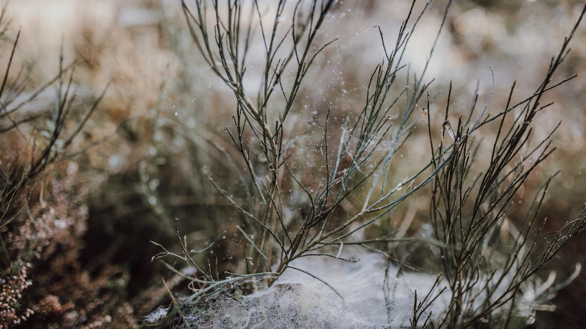End of the Year Sanctuary: Release, Restore, Renew