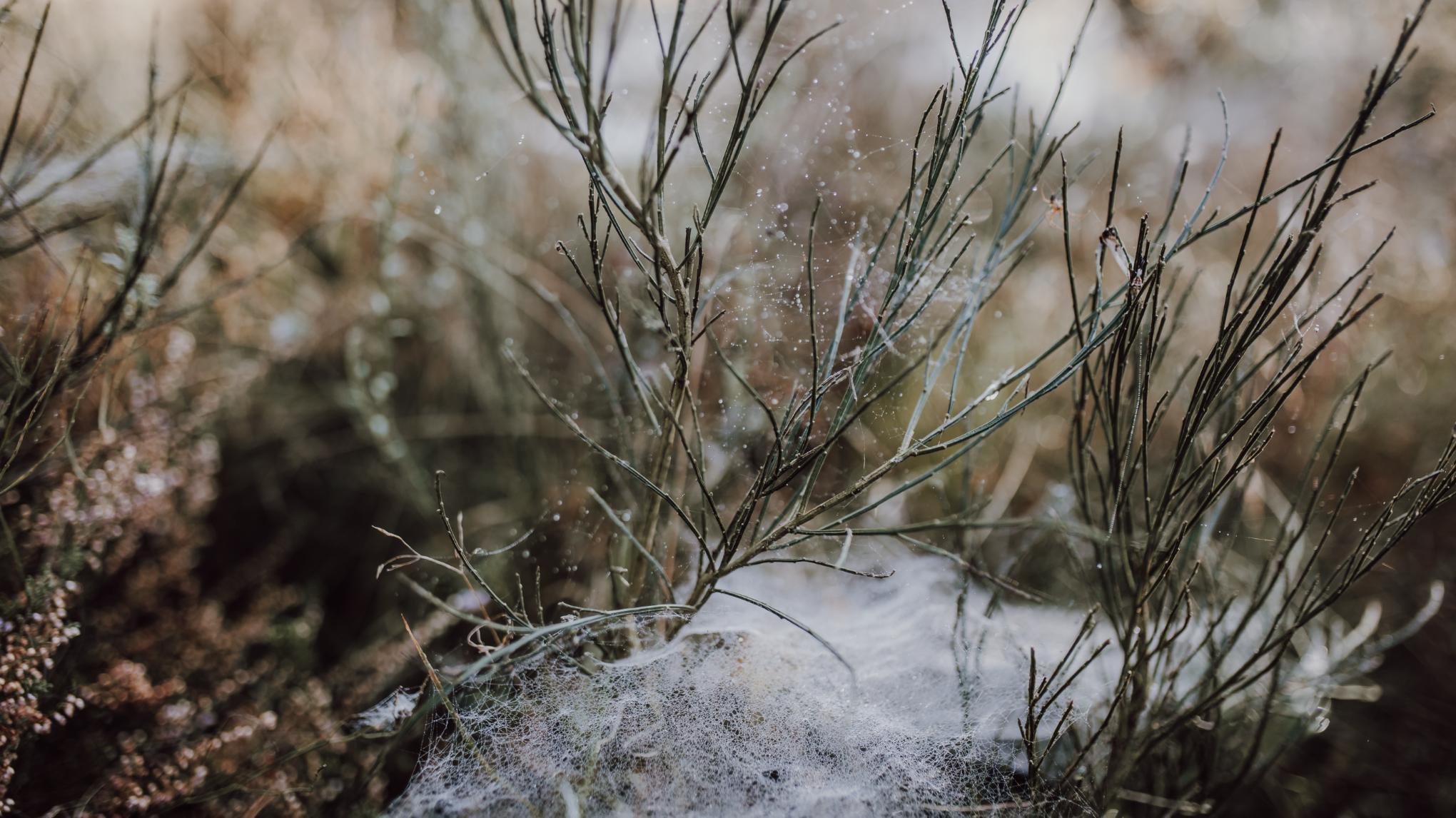 End of the year sanctuary: Release, Restore, Renew