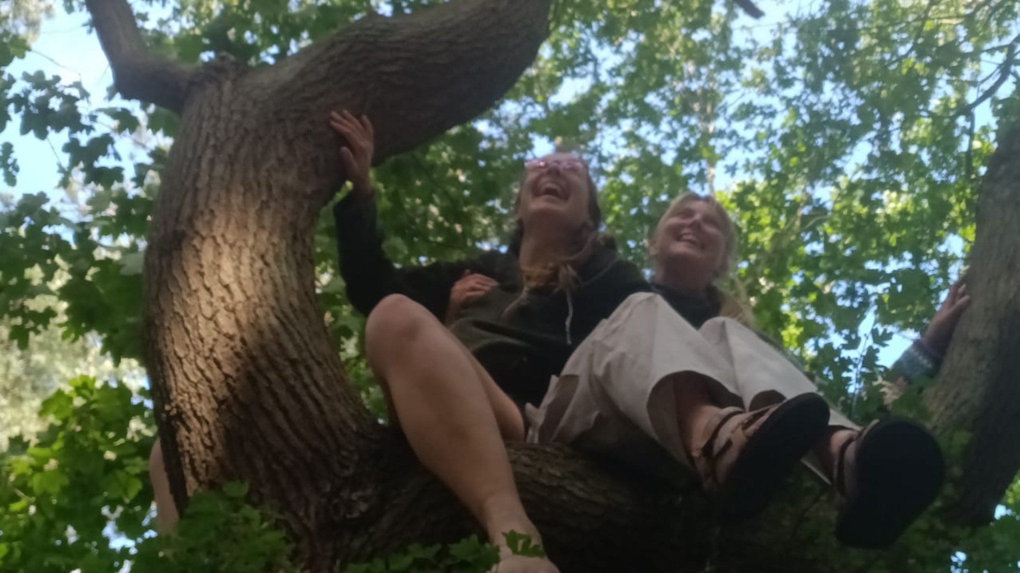 Wildplukwandeling met Sara & Julie - Pluk de dag wild!
