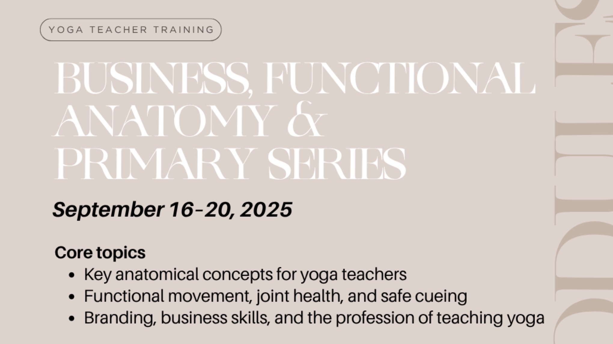 Module 4: Business, Functional Anatomy & Primary Series