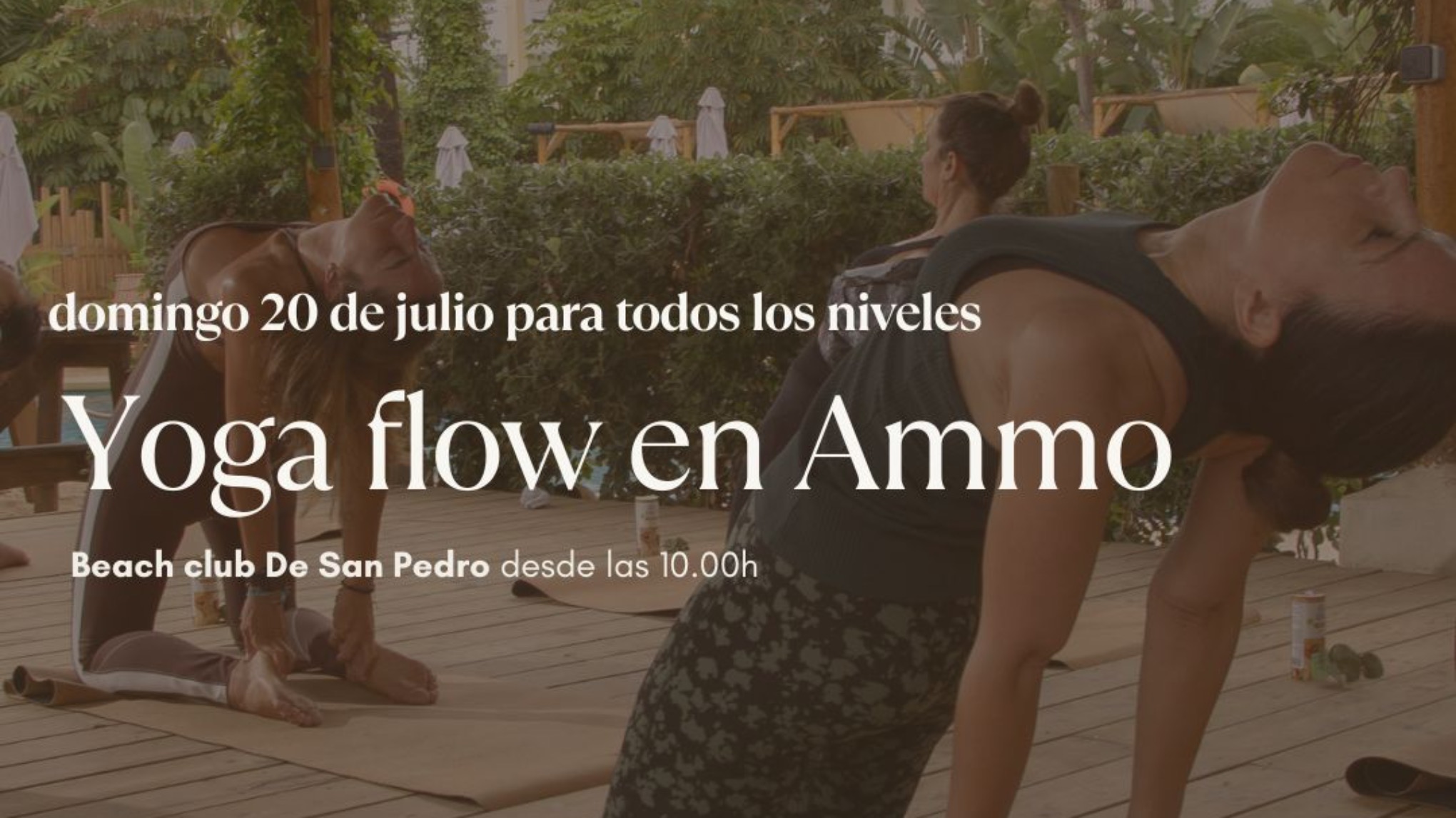 Yoga flow en Ammo 20/7