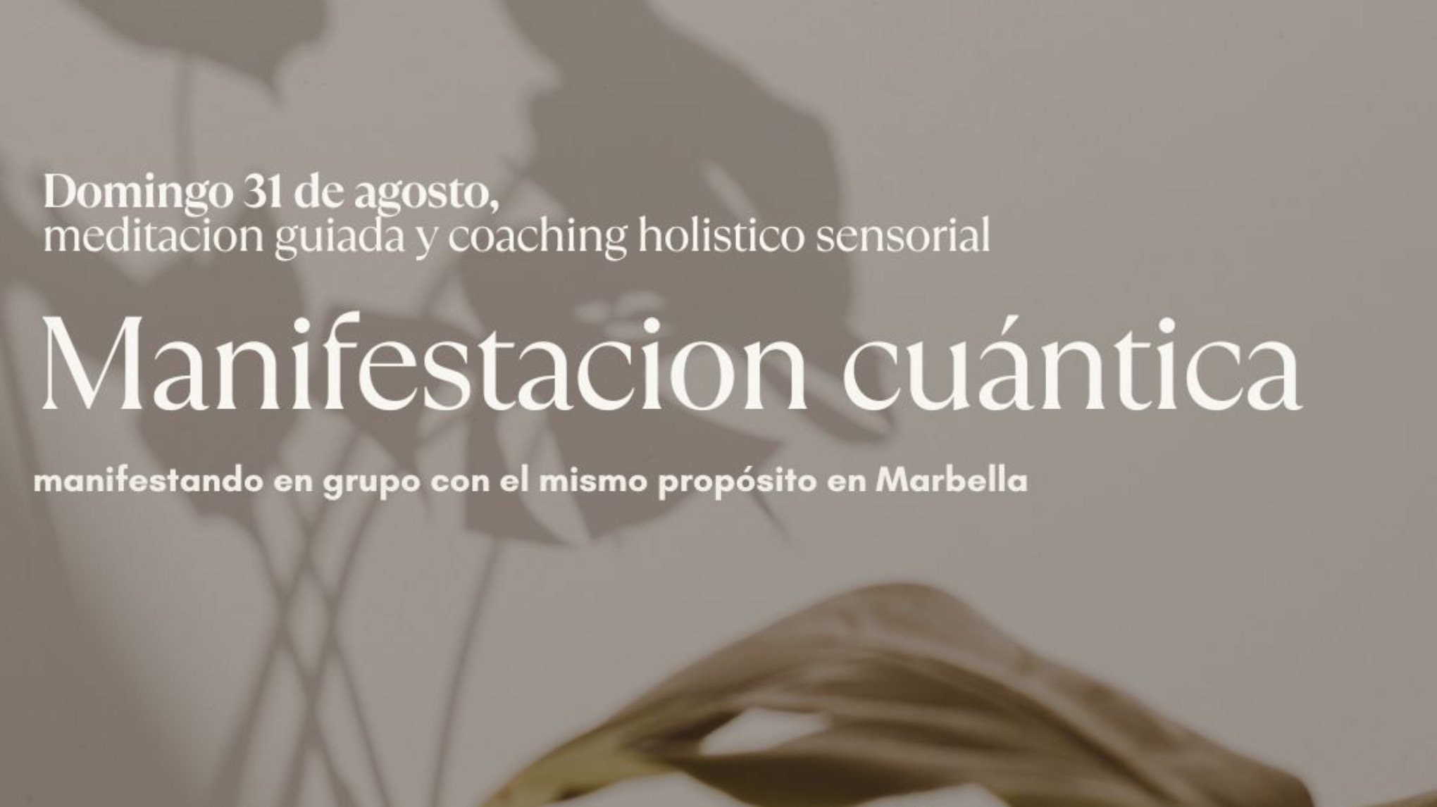 Manifestacion cuántica 31/8