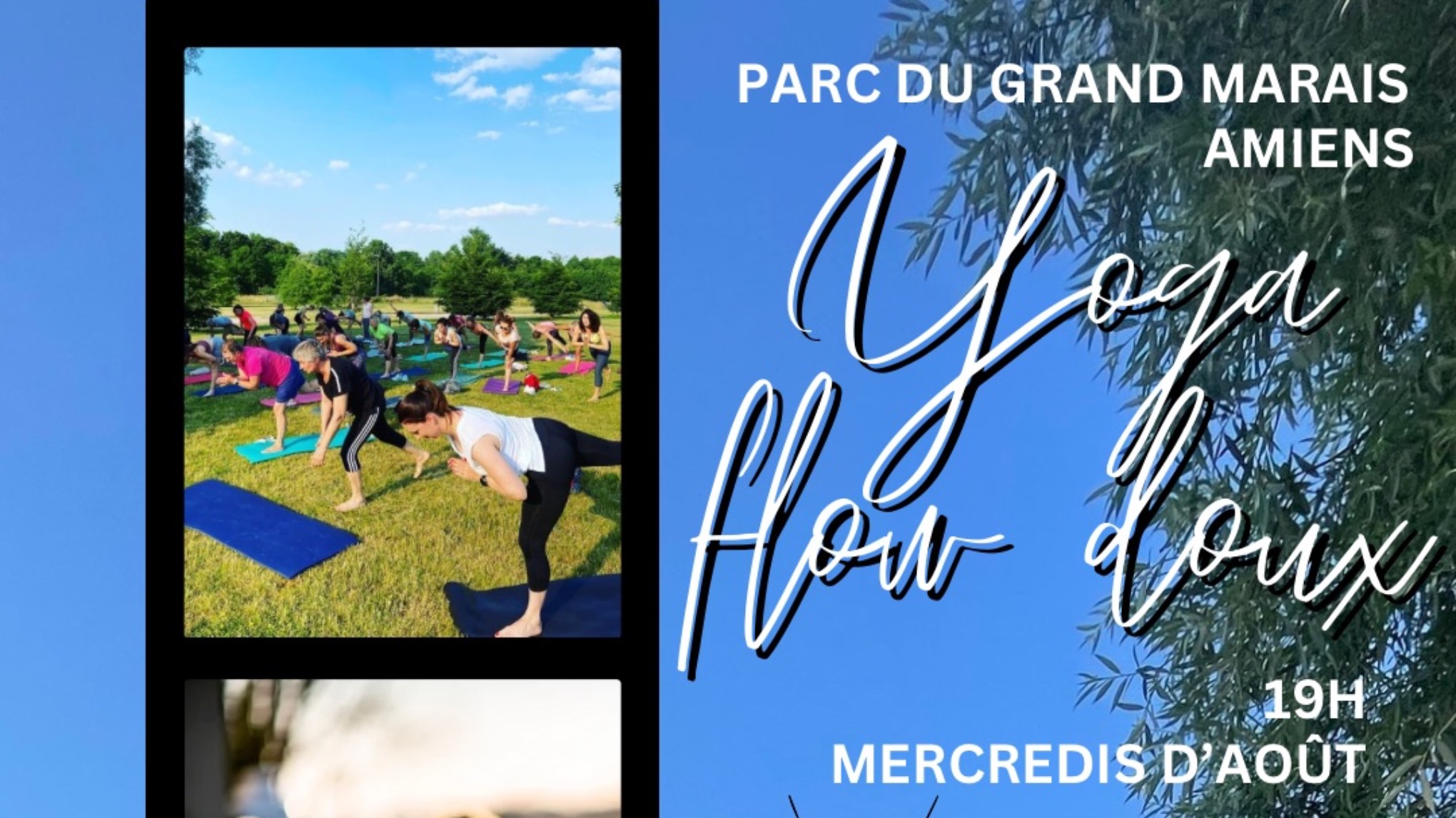 Yoga flow doux au parc