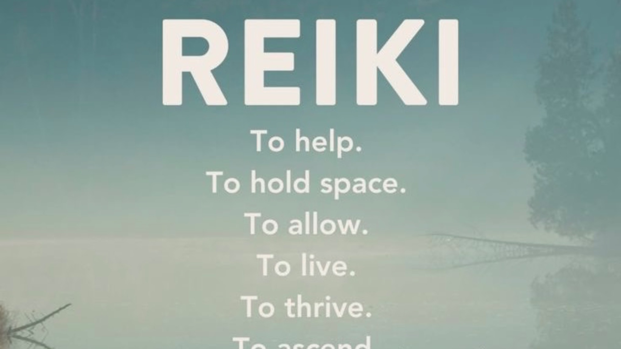 Reiki Session