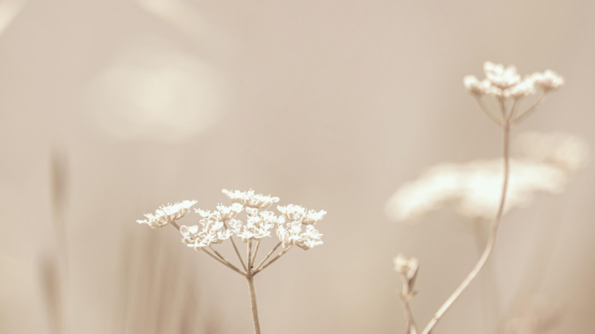 Meditatie workshop met Karimu