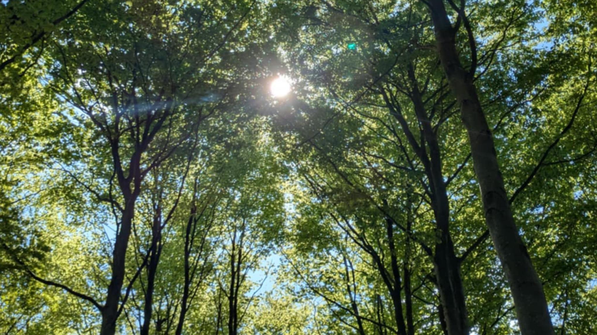 Root & Rise: A Back to Basics Yoga XL Class - £27 - 4 October 2025